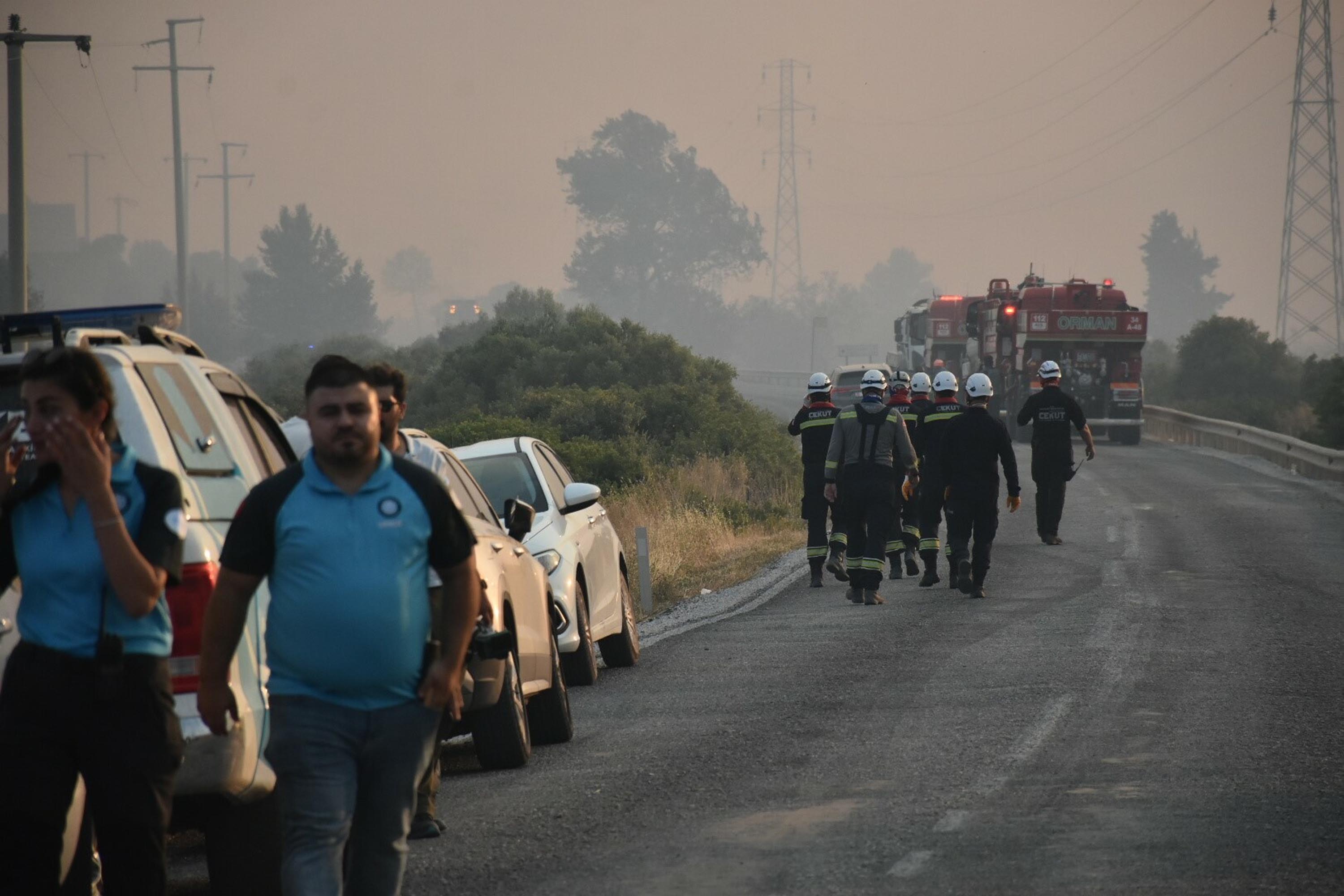 Çeşme'de orman yangını 