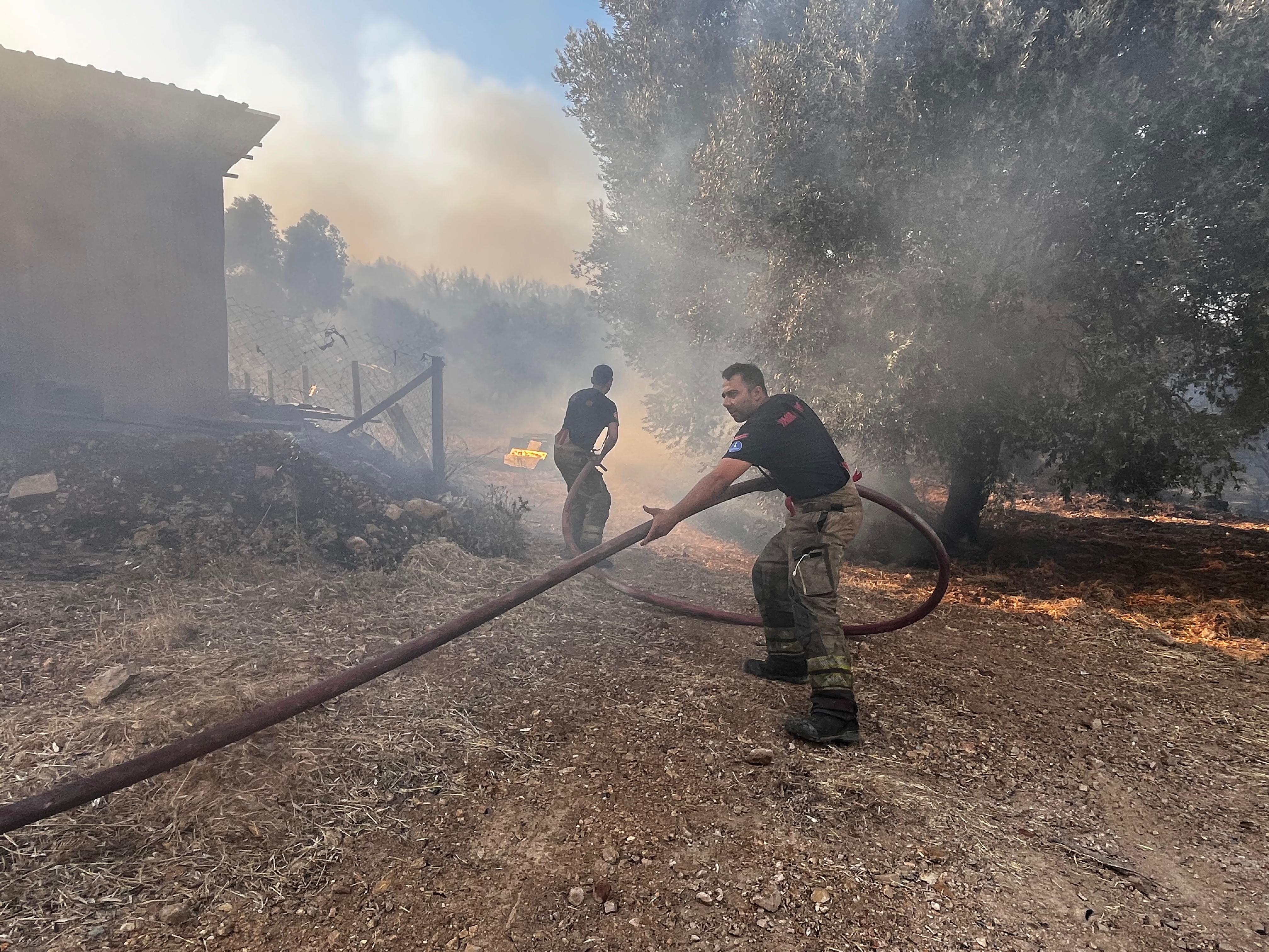 Çeşme'de orman yangını 