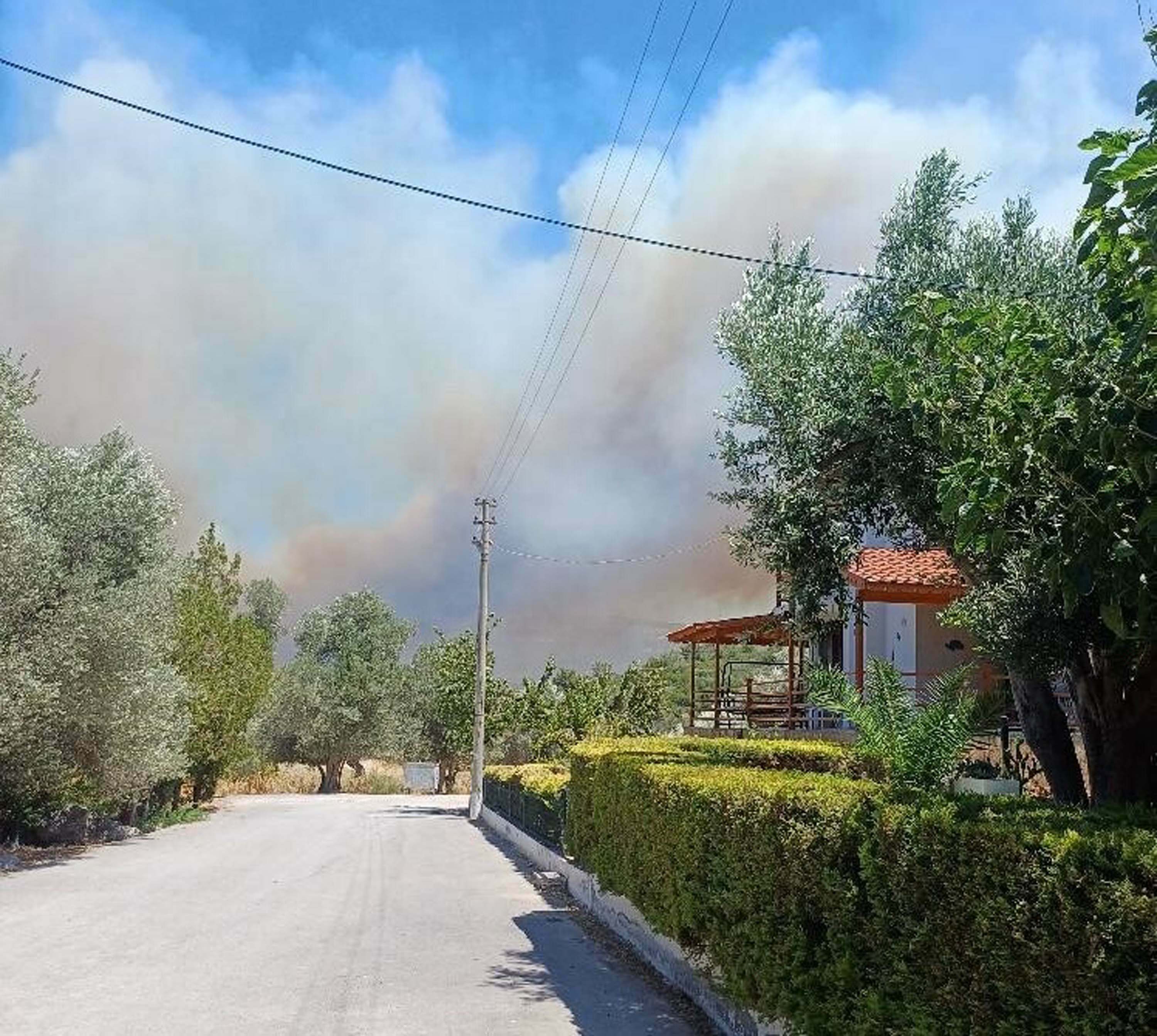 Çeşme'de orman yangını 