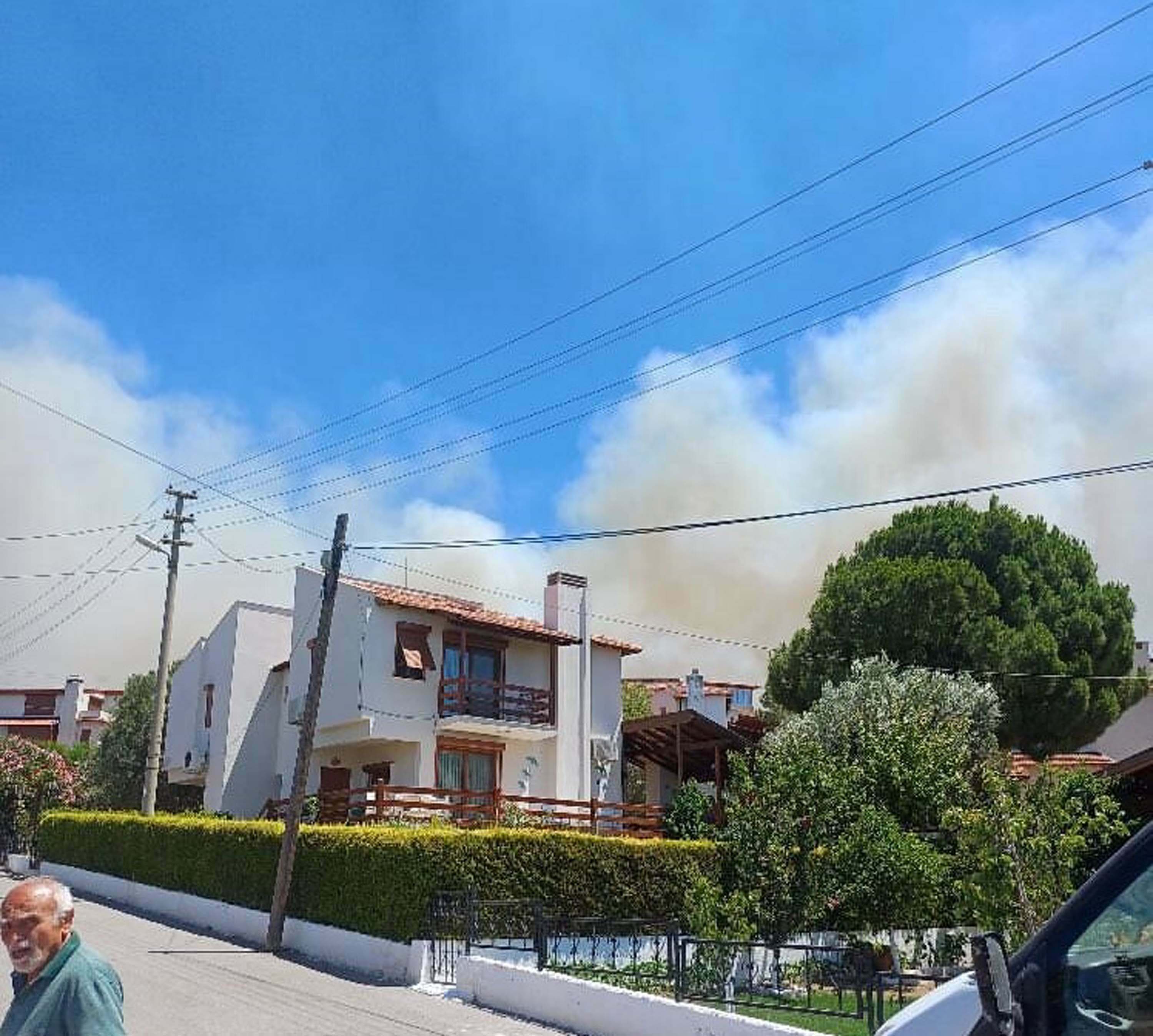 Çeşme'de orman yangını 