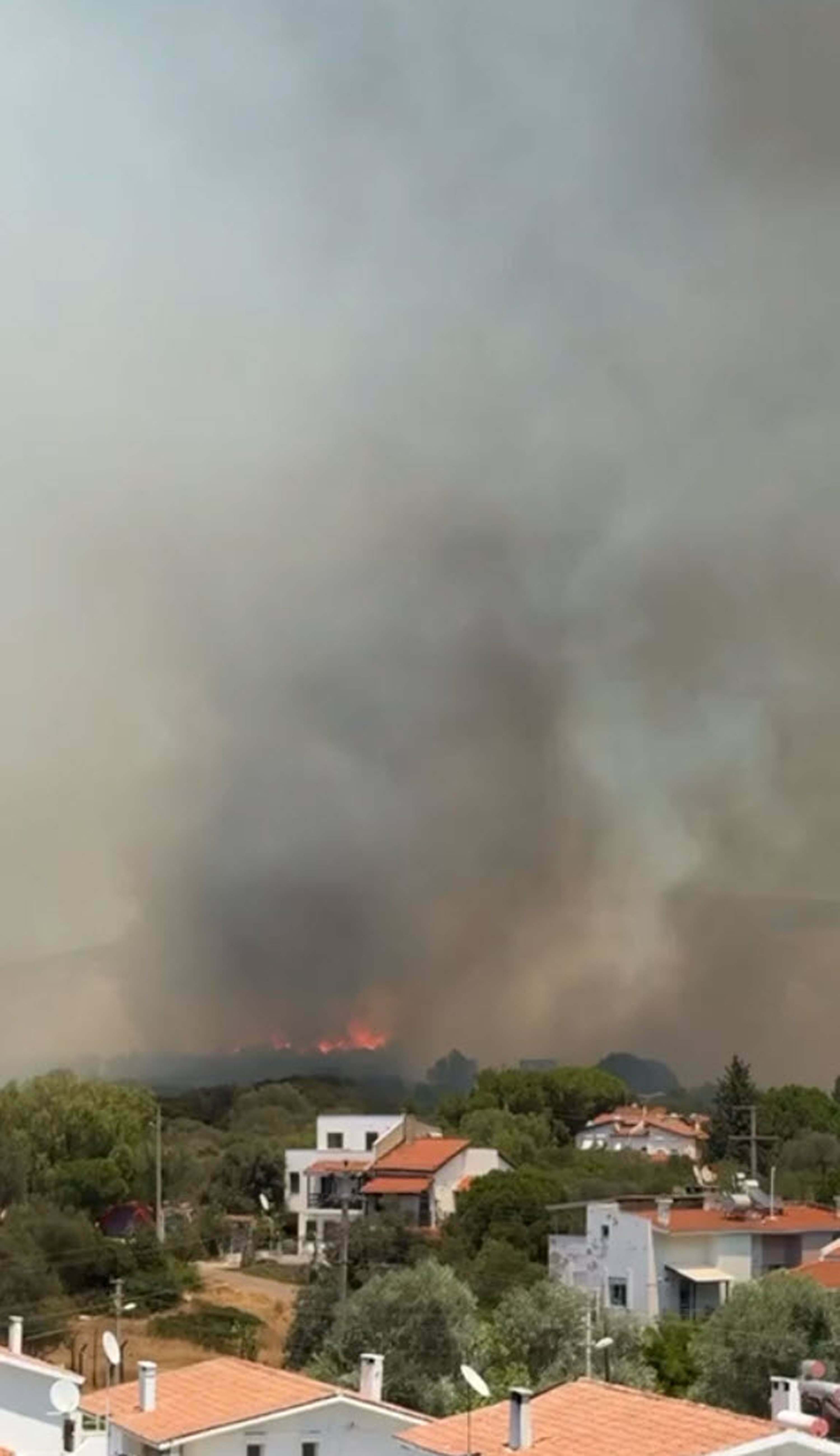 Çeşme'de orman yangını 