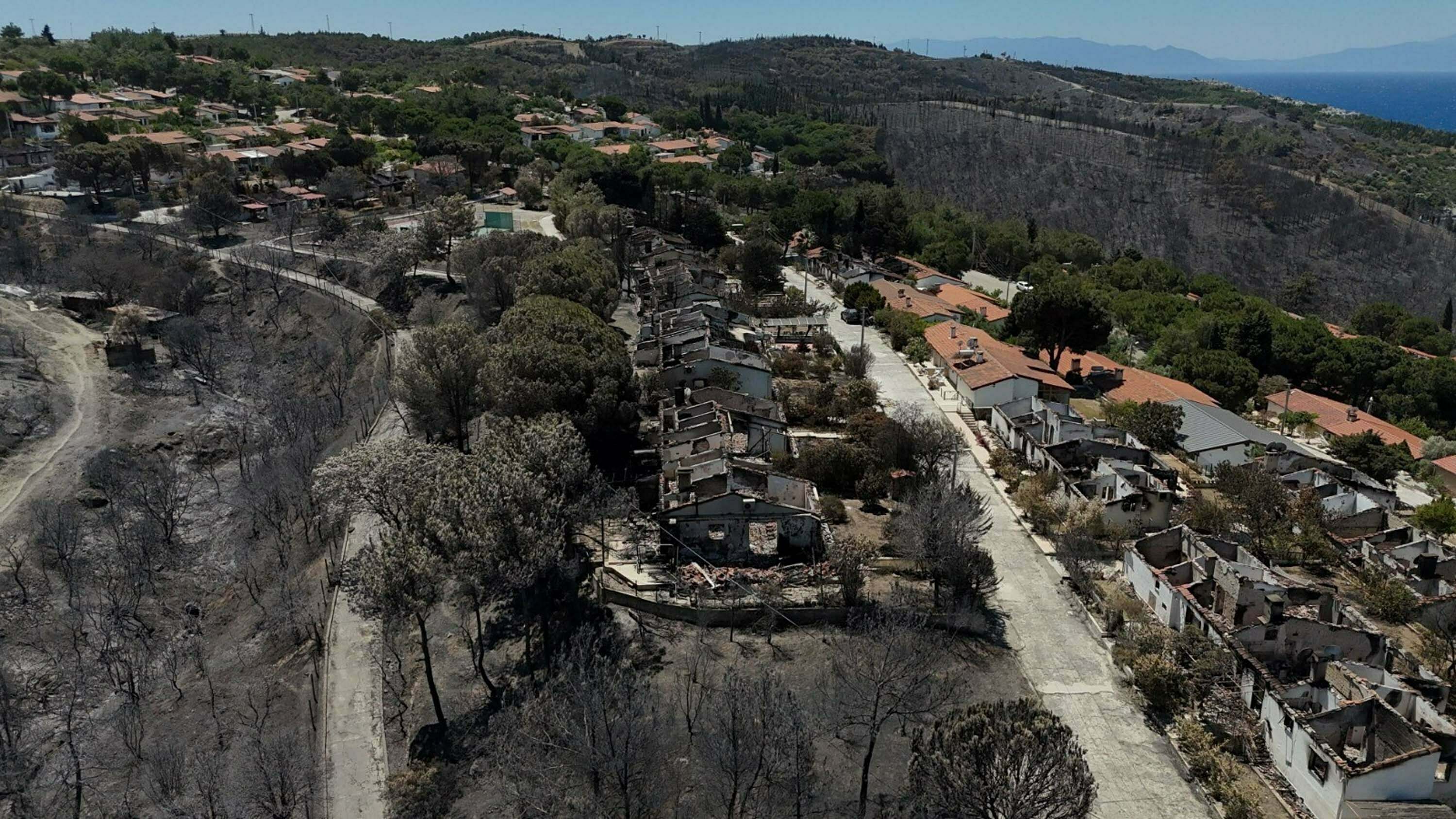 İzmir'in tatil merkezlerinden Seferihisar'da yeşil alanlar, yangın sonrası gri renge büründü