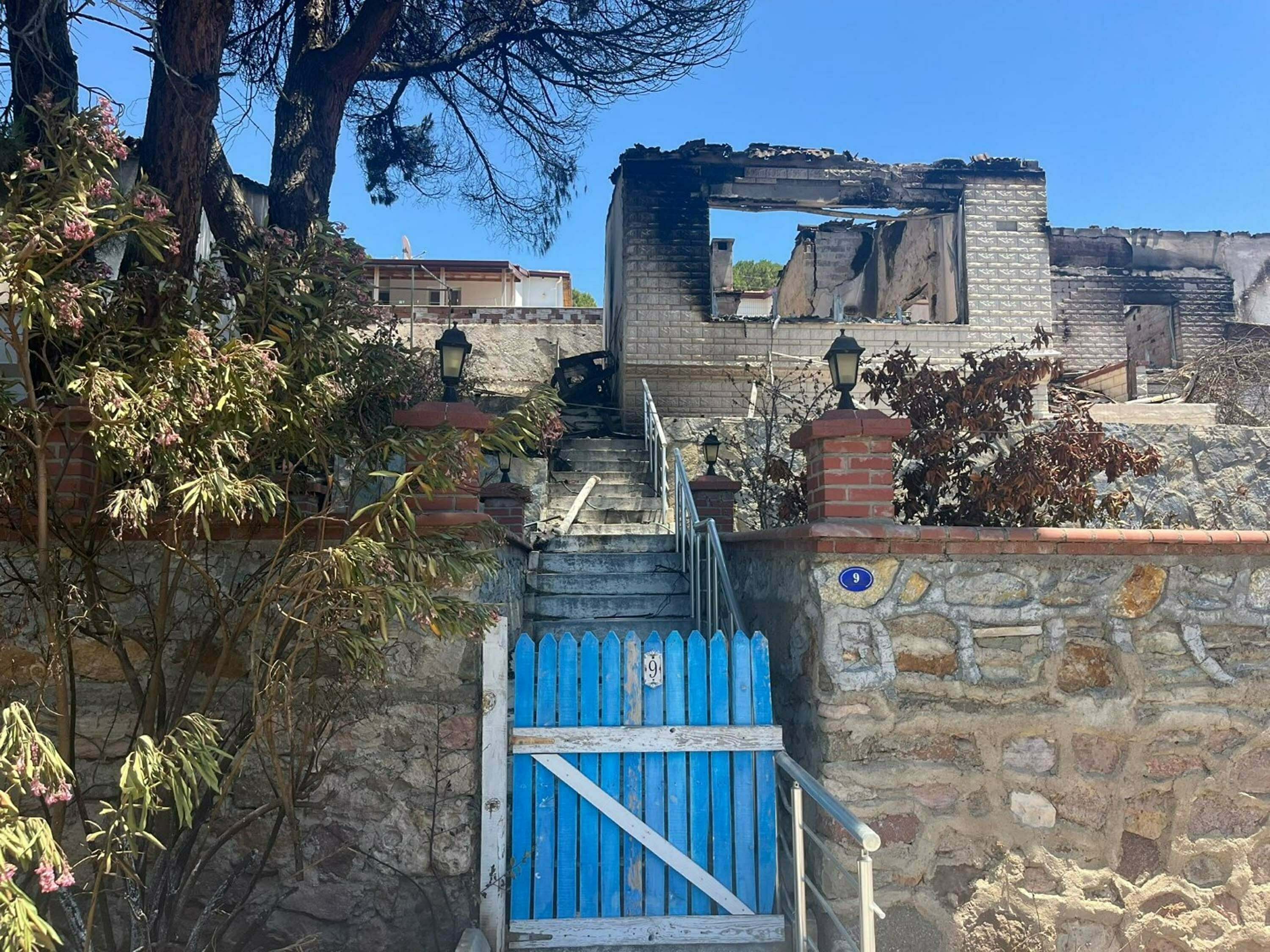 İzmir'in tatil merkezlerinden Seferihisar'da yeşil alanlar, yangın sonrası gri renge büründü