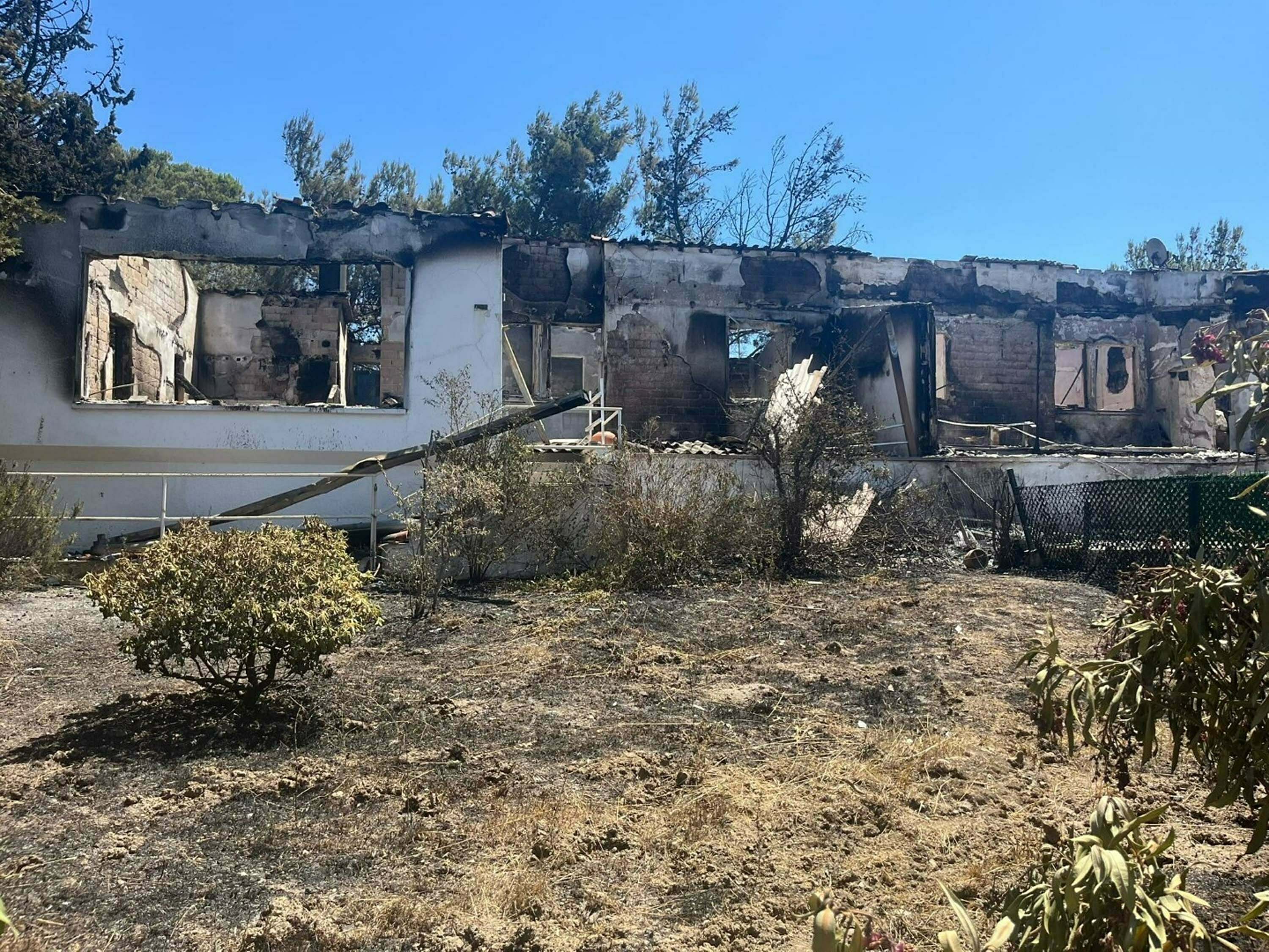 İzmir'in tatil merkezlerinden Seferihisar'da yeşil alanlar, yangın sonrası gri renge büründü