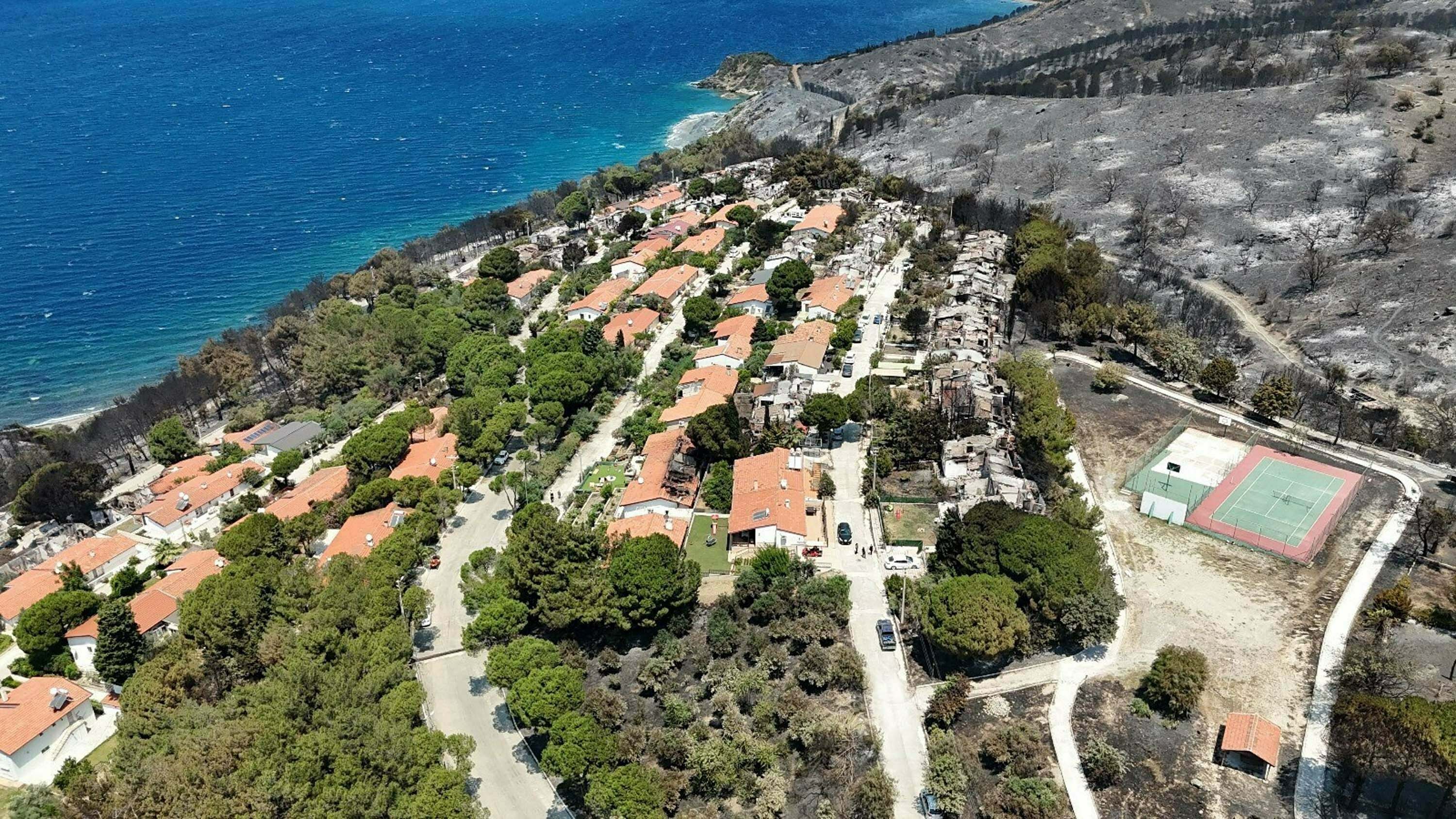 İzmir'in tatil merkezlerinden Seferihisar'da yeşil alanlar, yangın sonrası gri renge büründü