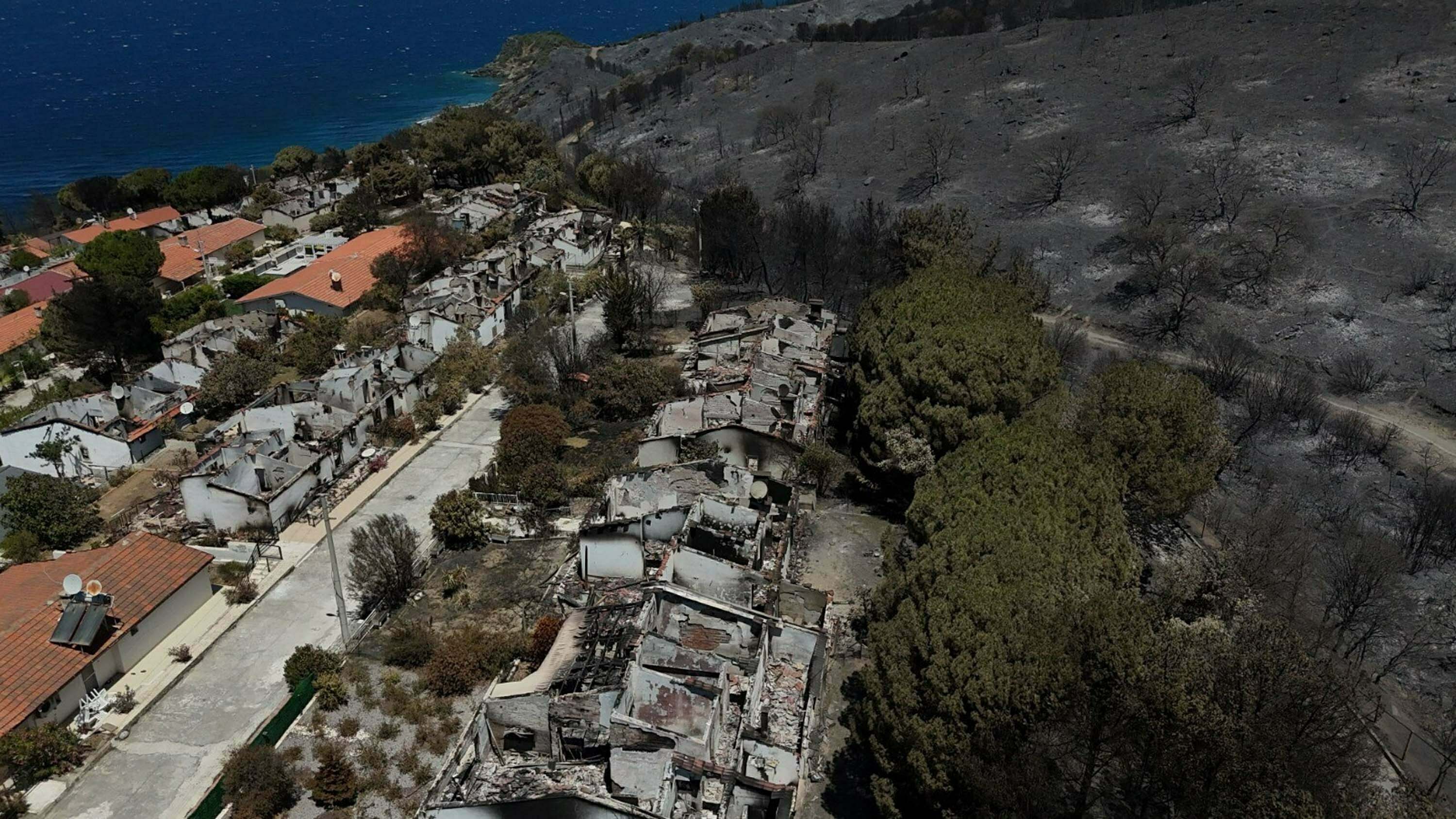 İzmir'in tatil merkezlerinden Seferihisar'da yeşil alanlar, yangın sonrası gri renge büründü
