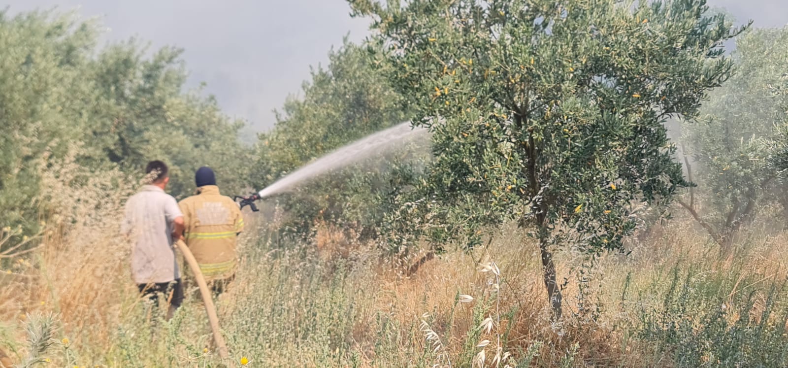 Ödemiş'te yangınla mücadele sürüyor