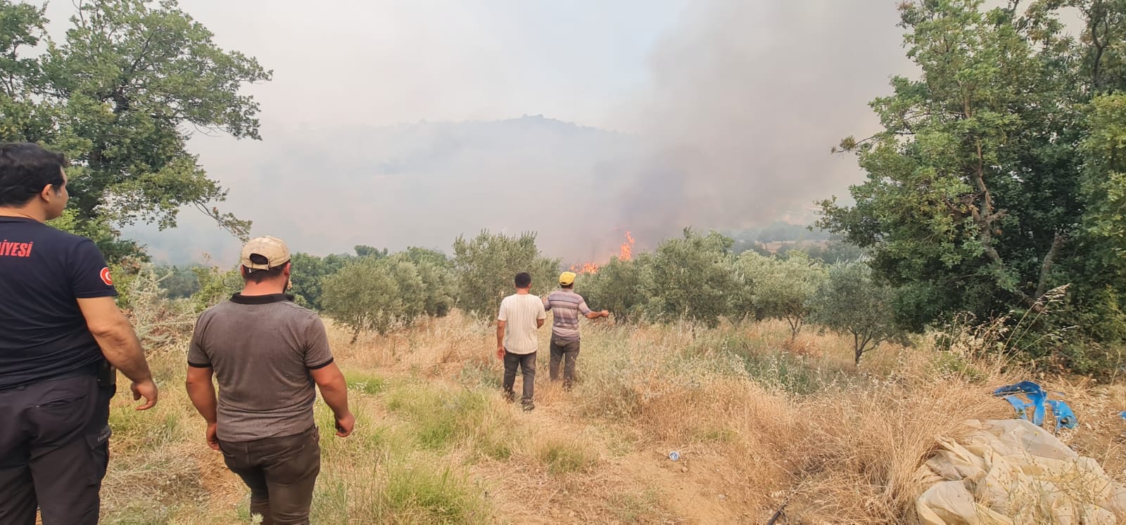 Ödemiş'te yangınla mücadele sürüyor