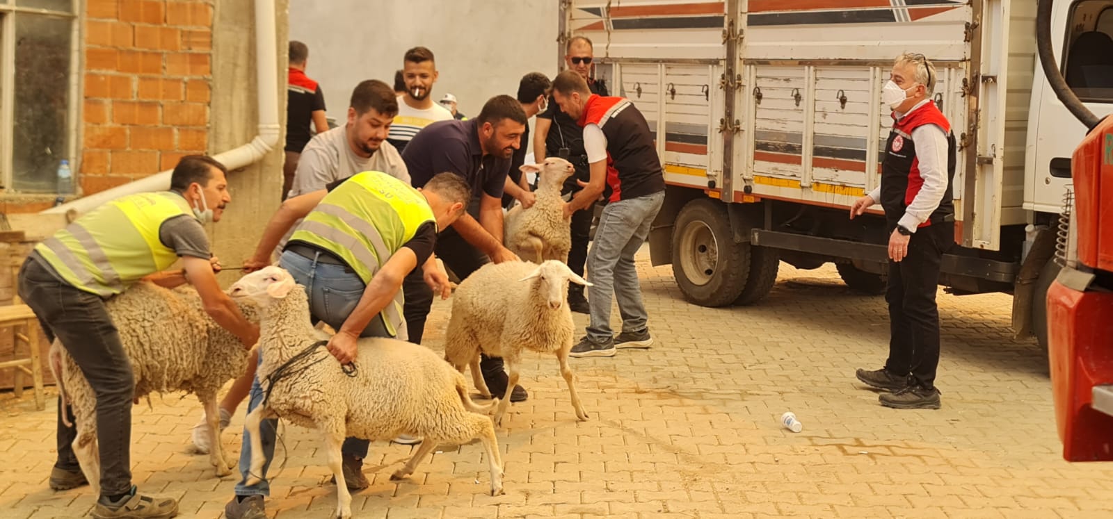 Ödemiş'te yangınla mücadele sürüyor