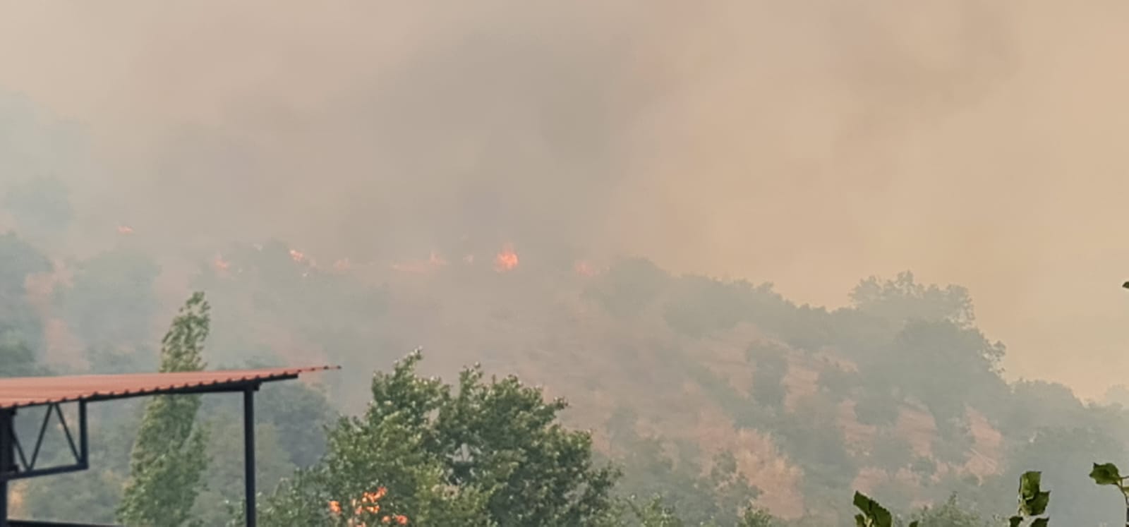 Ödemiş'te yangınla mücadele sürüyor