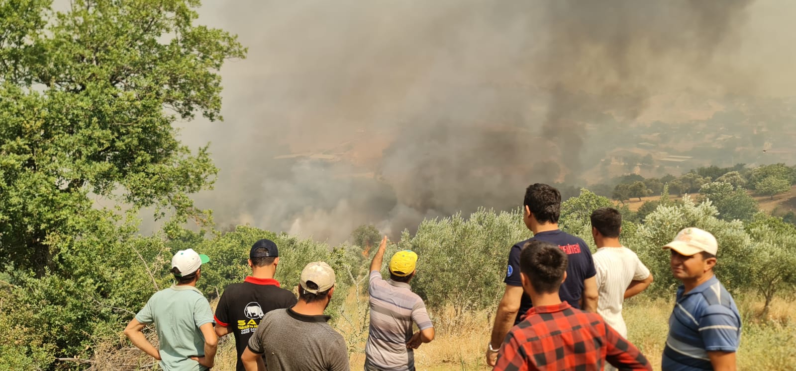 Ödemiş'te yangınla mücadele sürüyor
