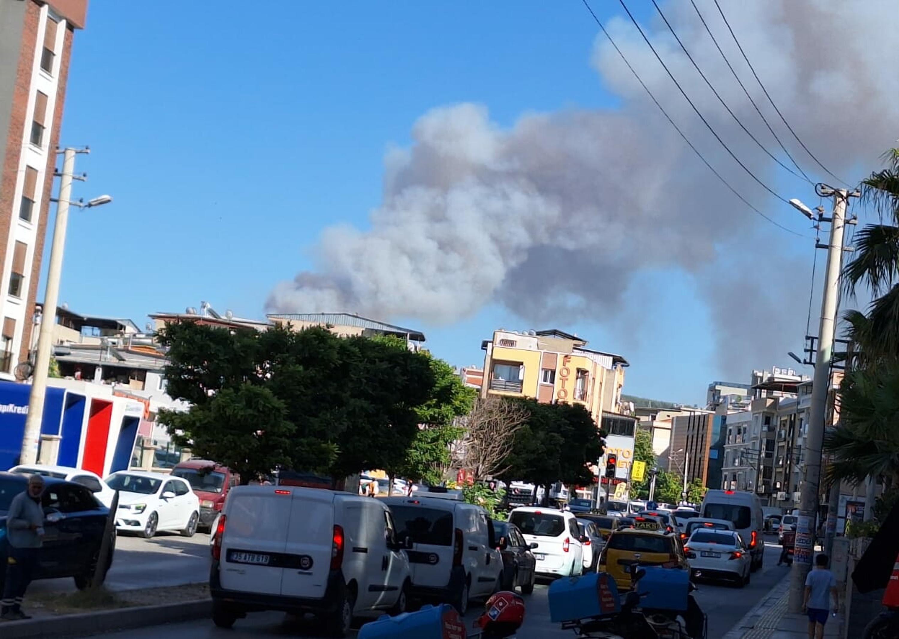 Buca'da orman yangını