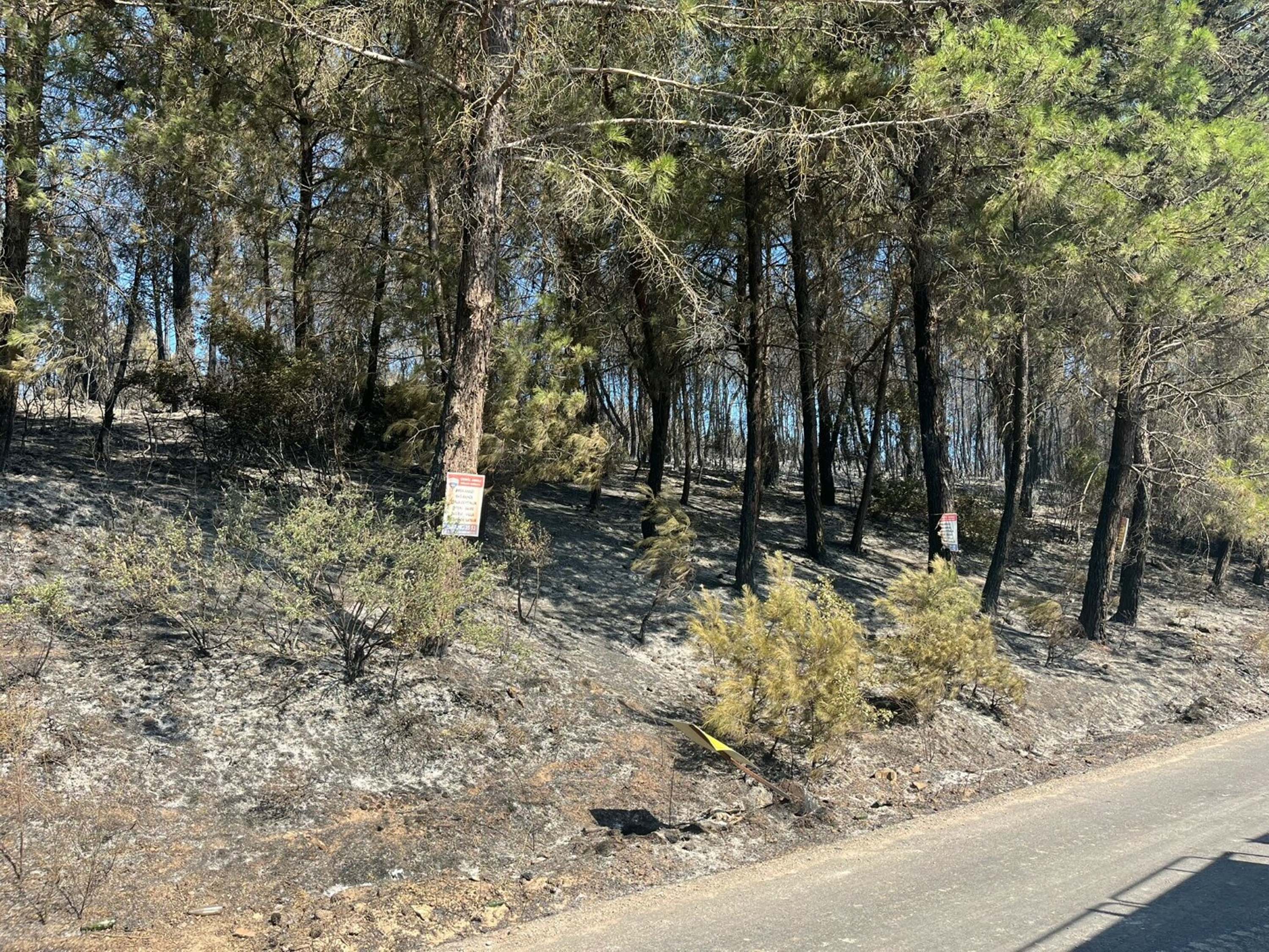Buca'daki orman yangını 2'nci gününde; ekipler alevlerin arasında kaldı