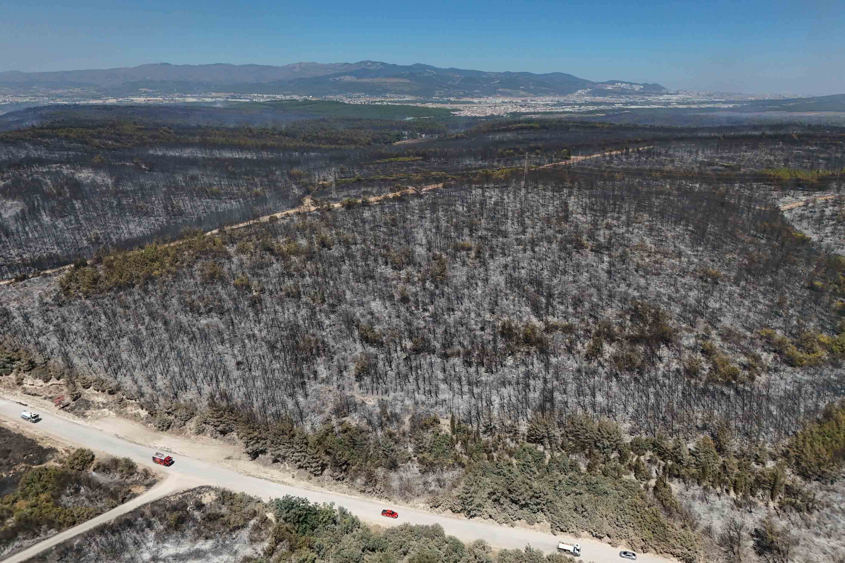 Buca'daki orman yangını 2'nci gününde; ekipler alevlerin arasında kaldı