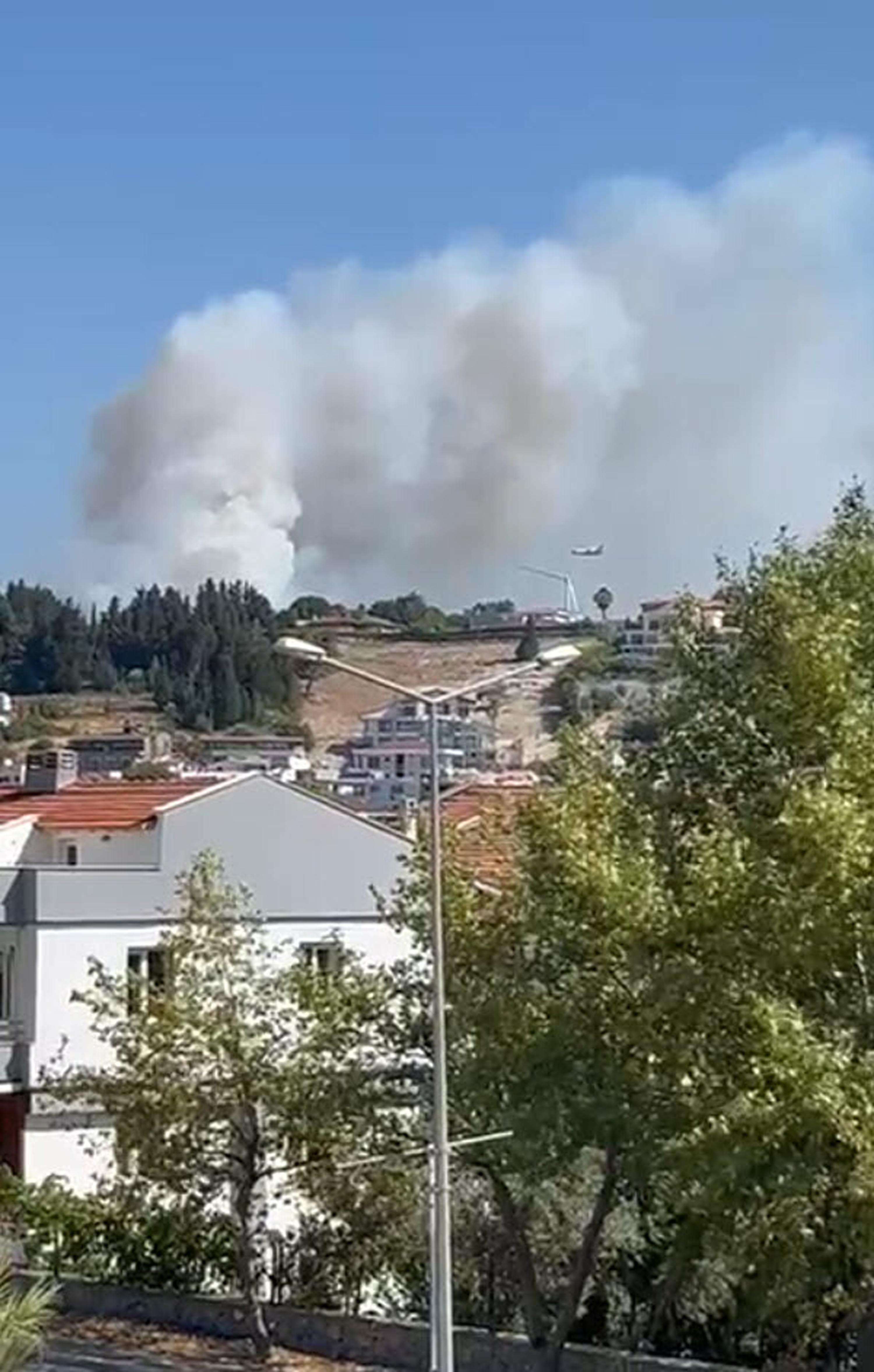 İzmir Urla'da orman yangını