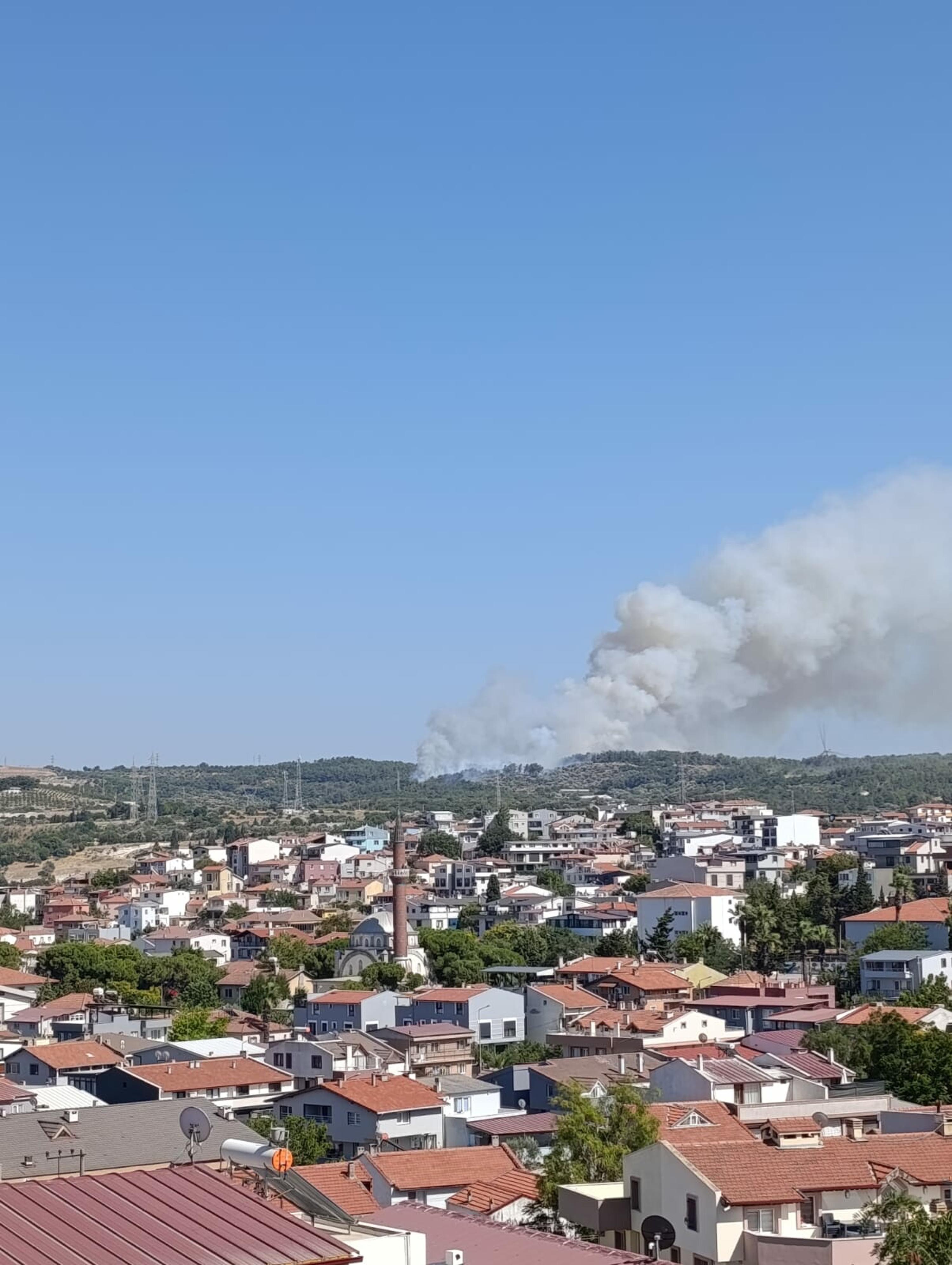 İzmir Urla'da orman yangını