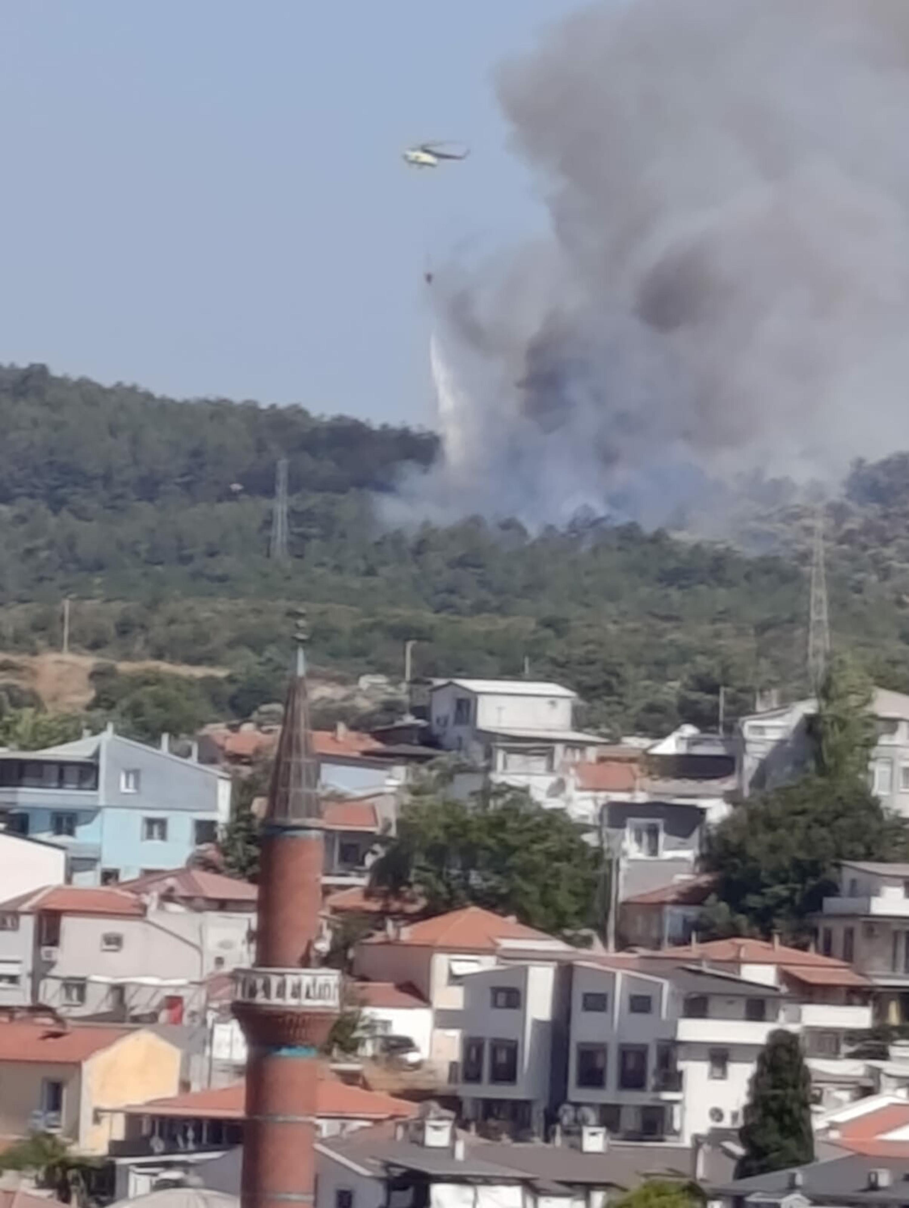 İzmir Urla'da orman yangını