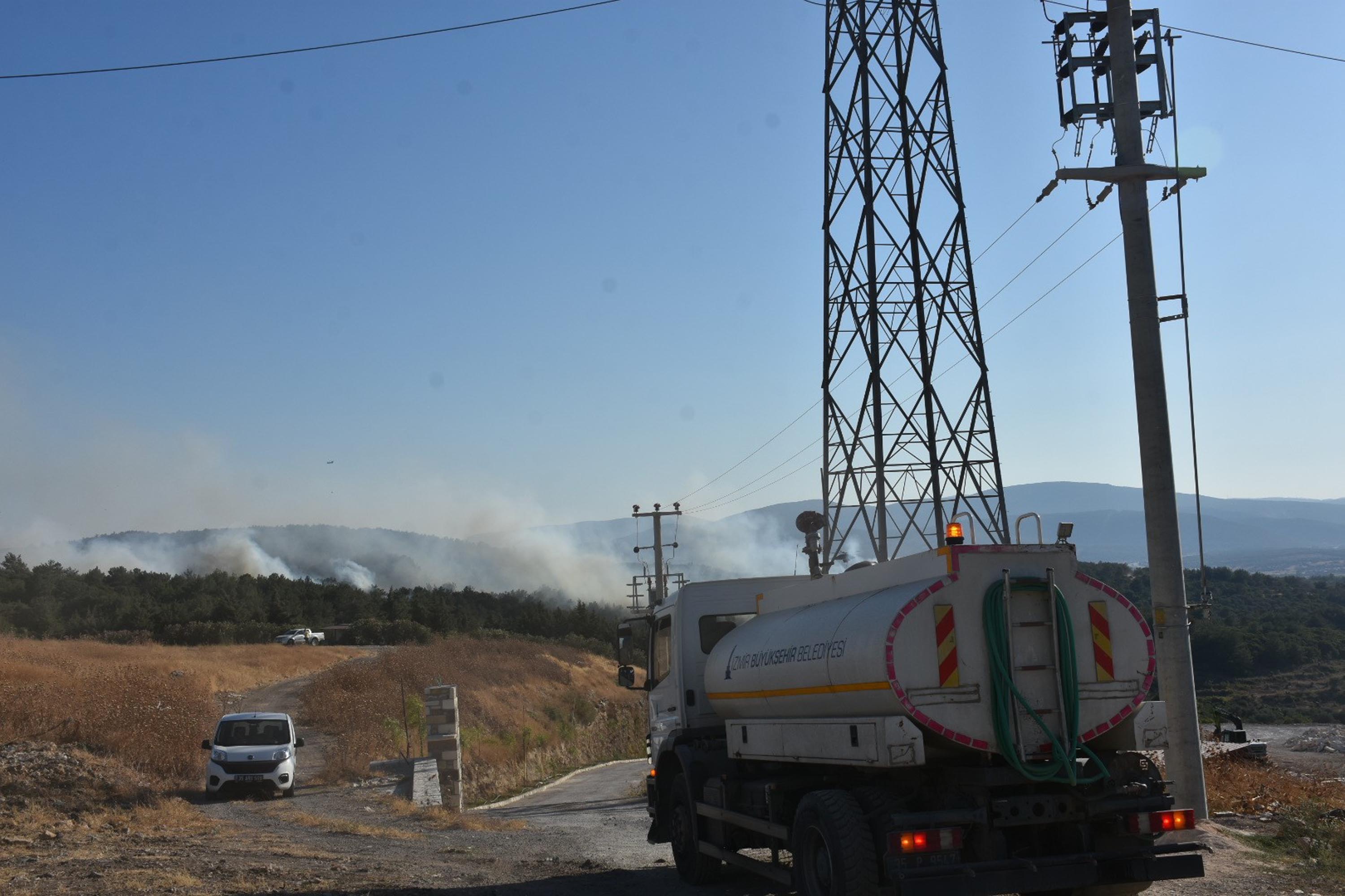 İzmir Urla'da orman yangını