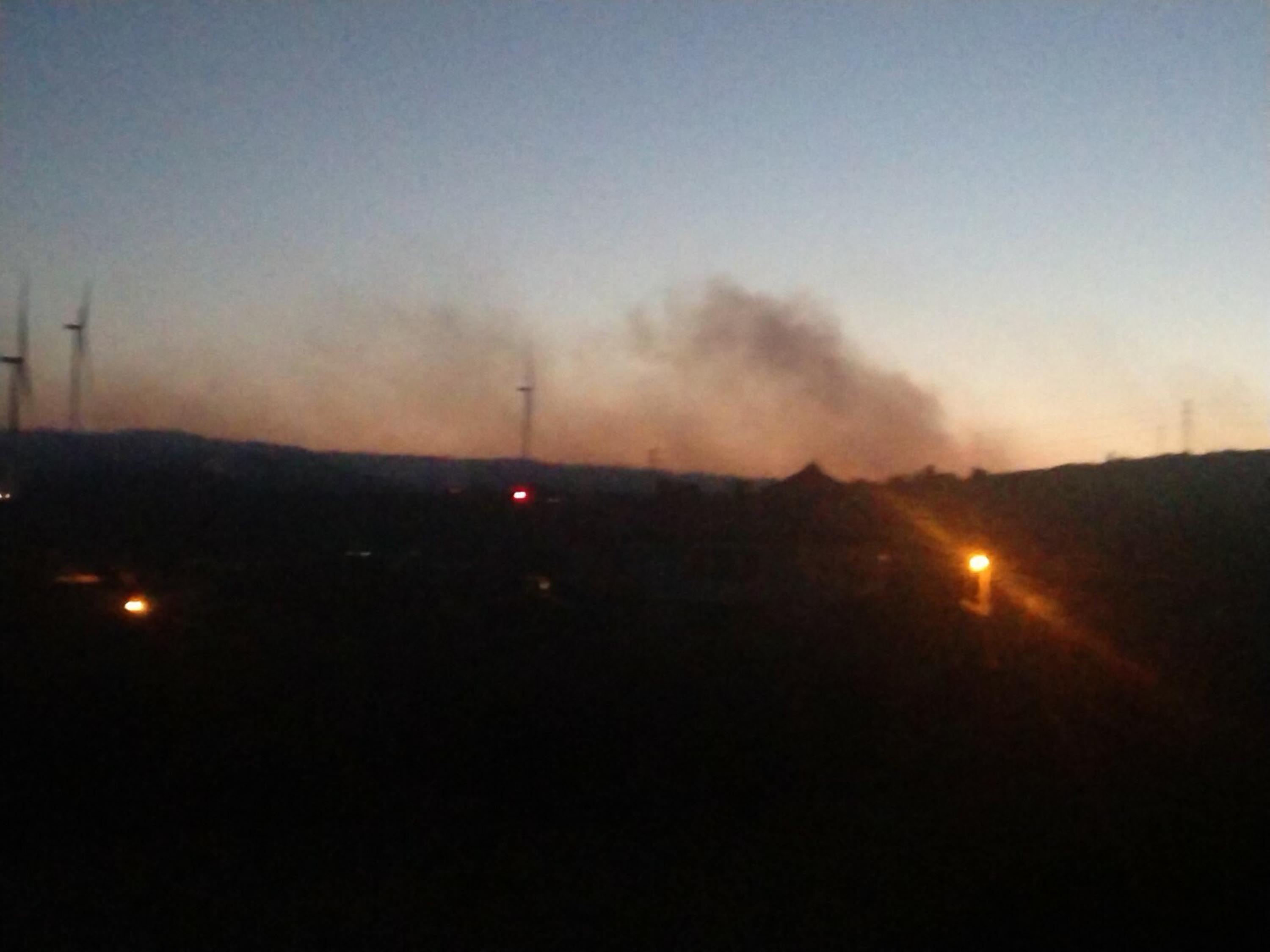 İzmir Urla'da orman yangını