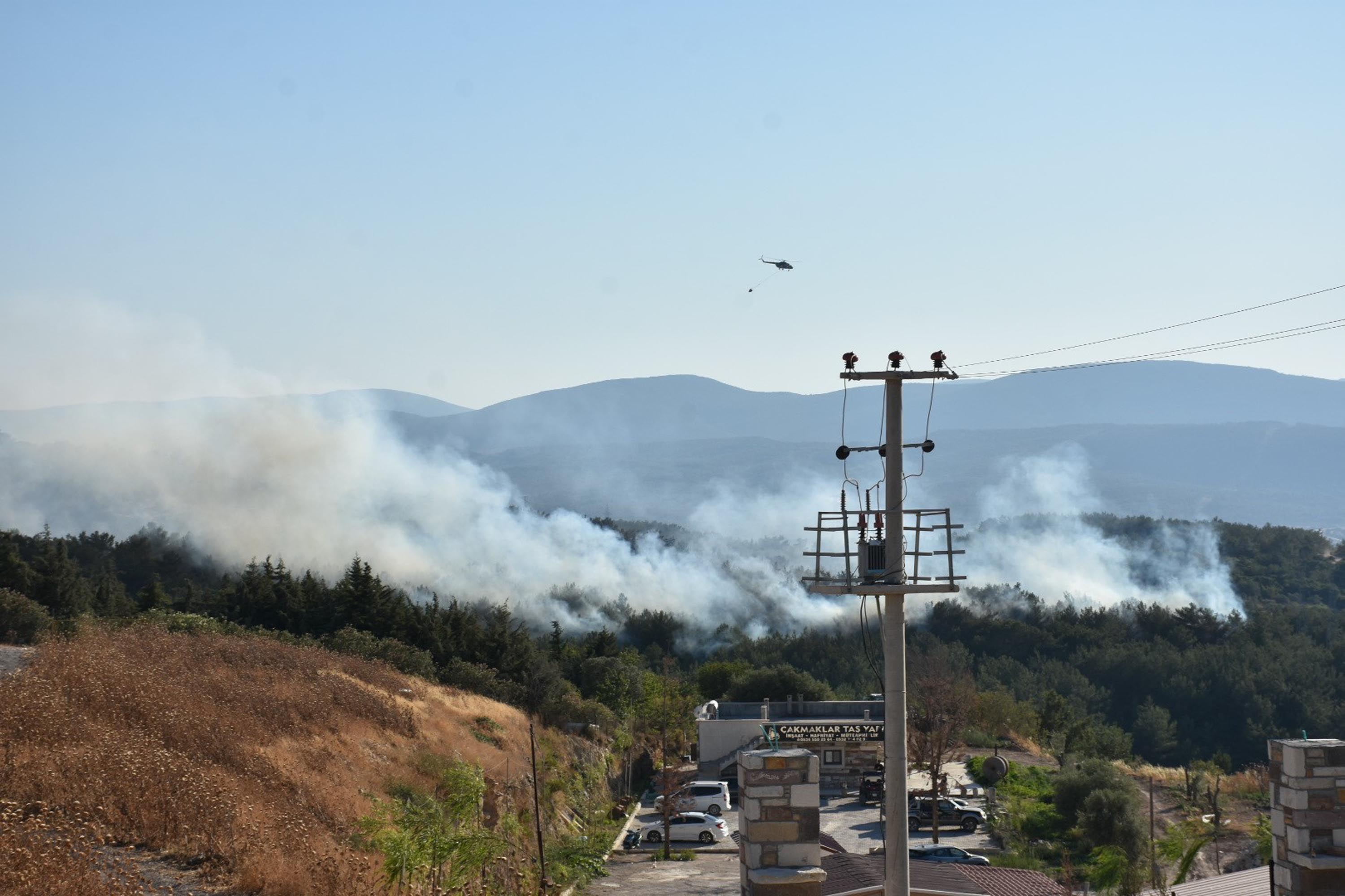 İzmir Urla'da orman yangını