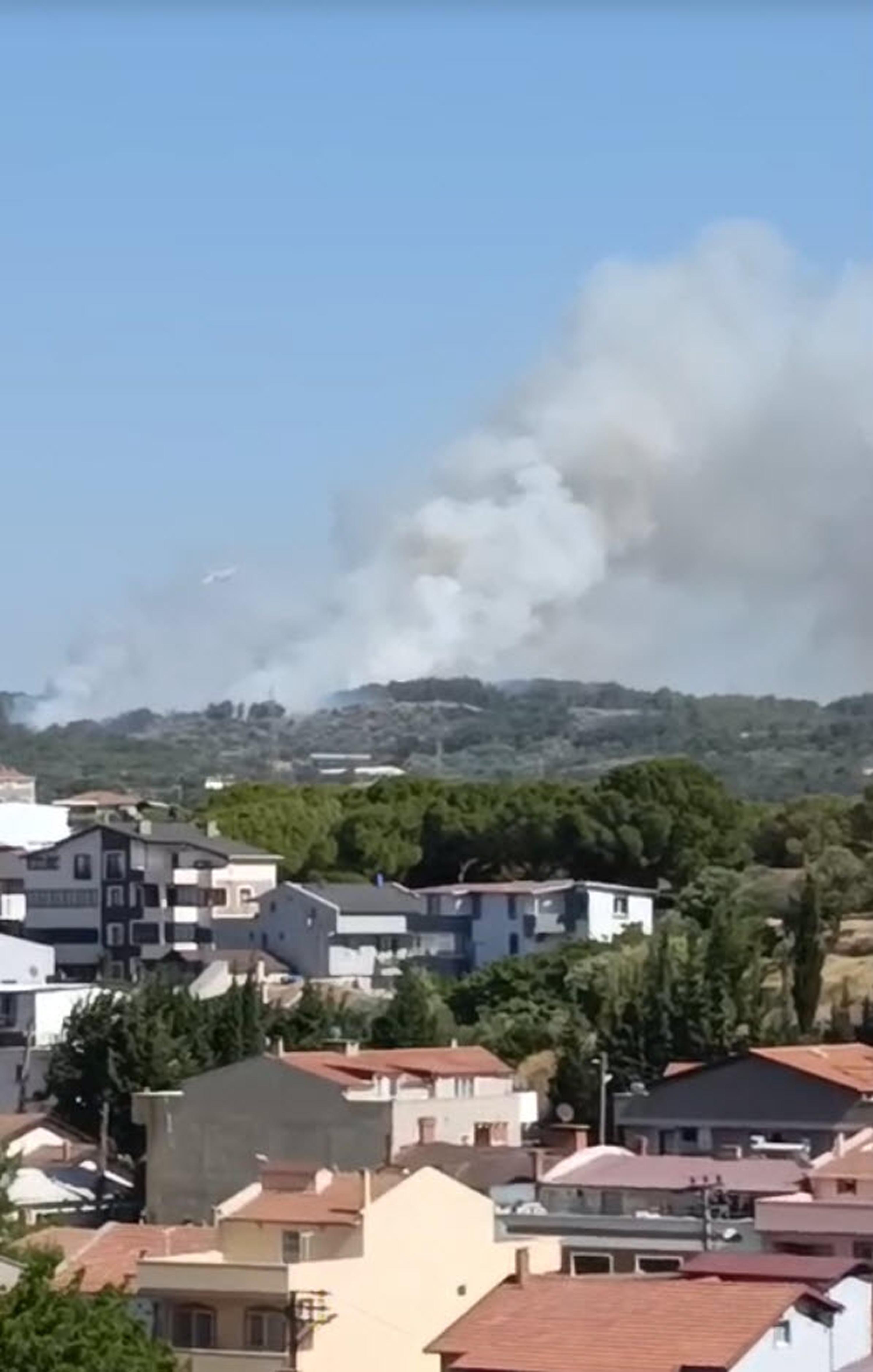 İzmir Urla'da orman yangını
