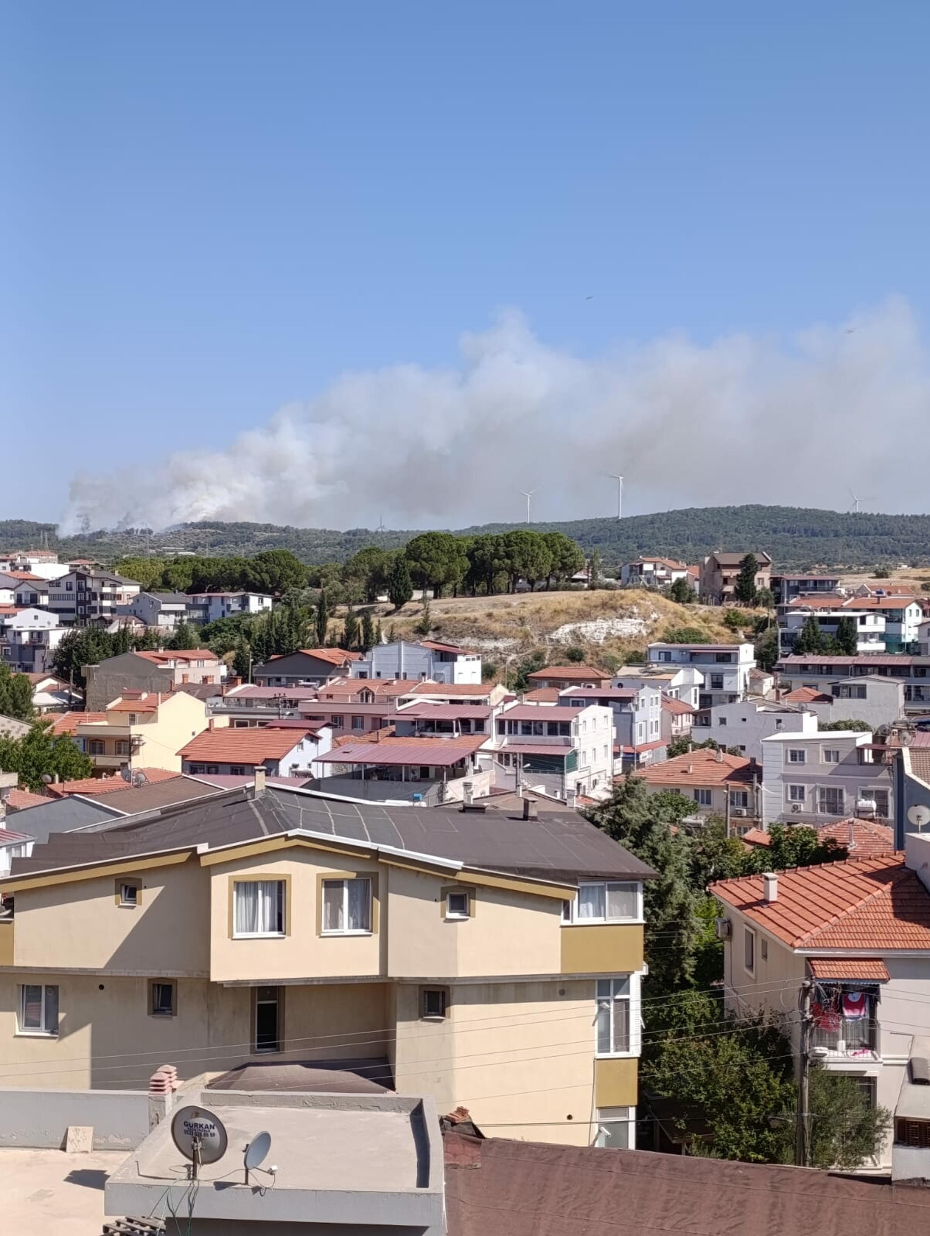 İzmir Urla'da orman yangını