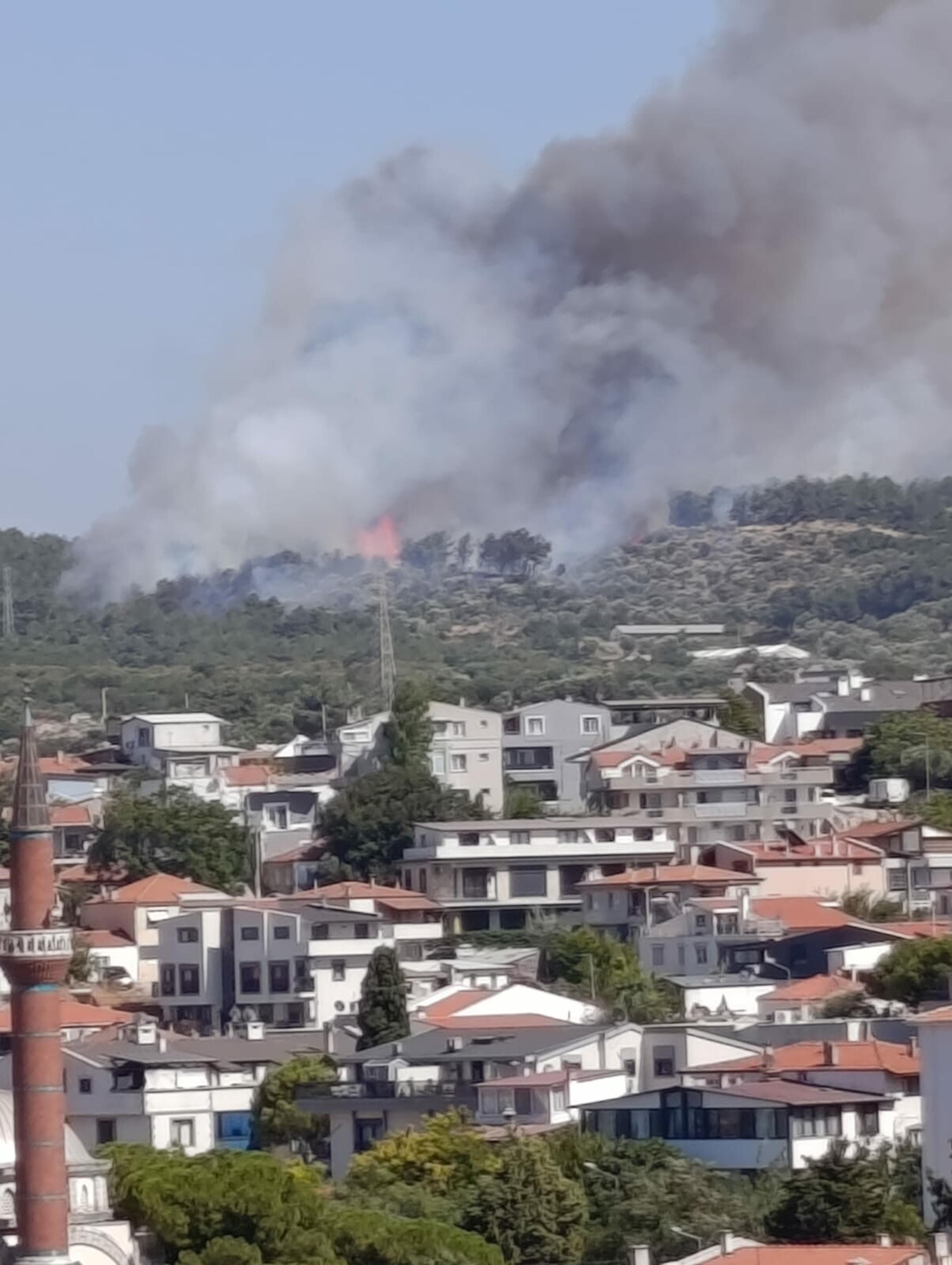 İzmir Urla'da orman yangını