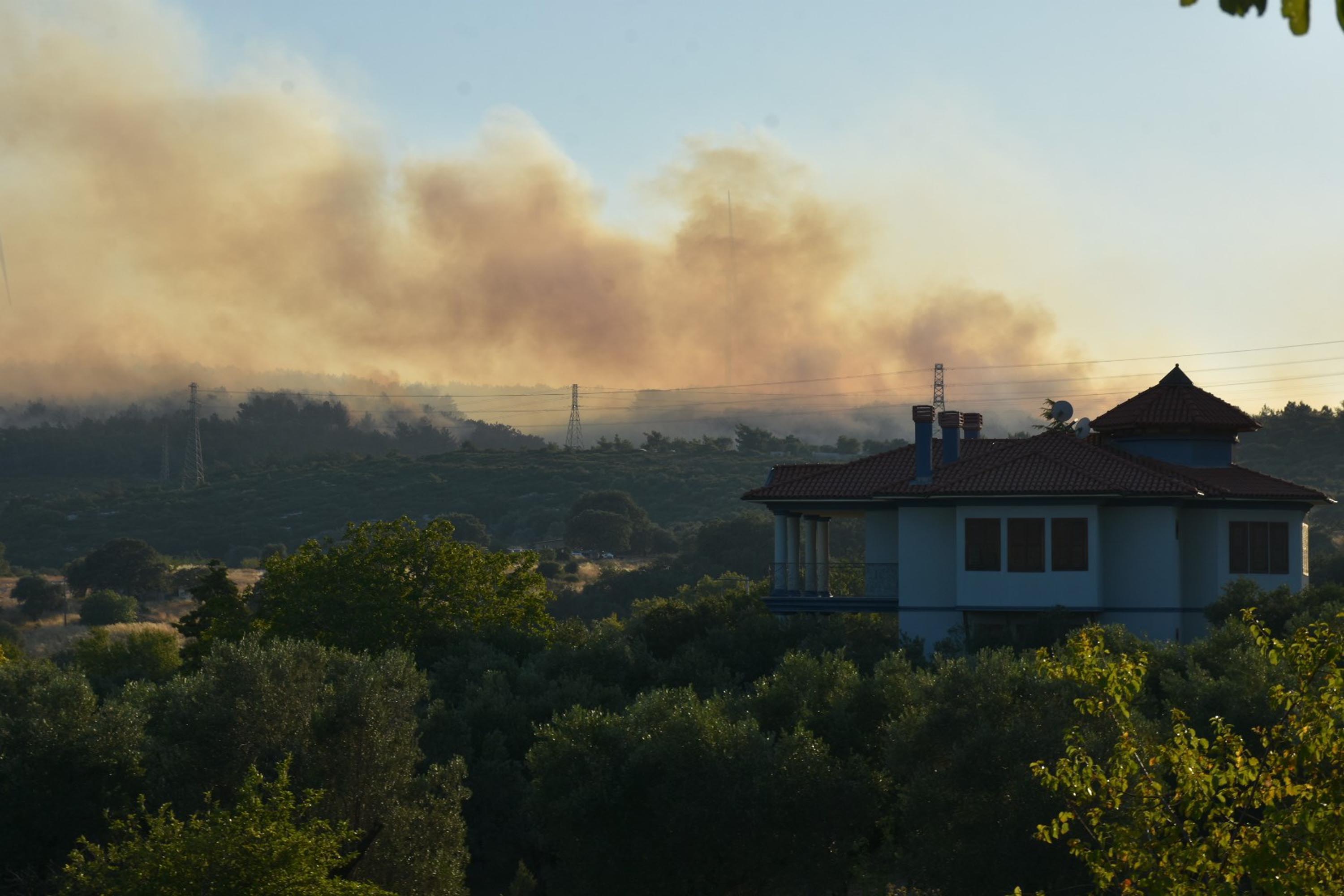 İzmir Urla'da orman yangını