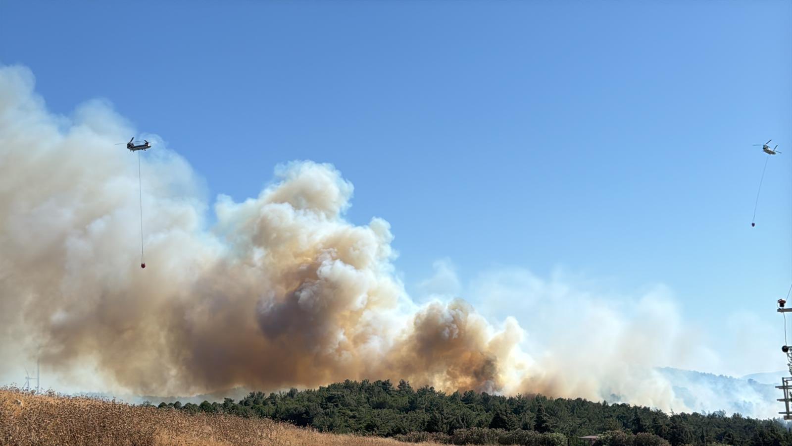 İzmir Urla'da orman yangını