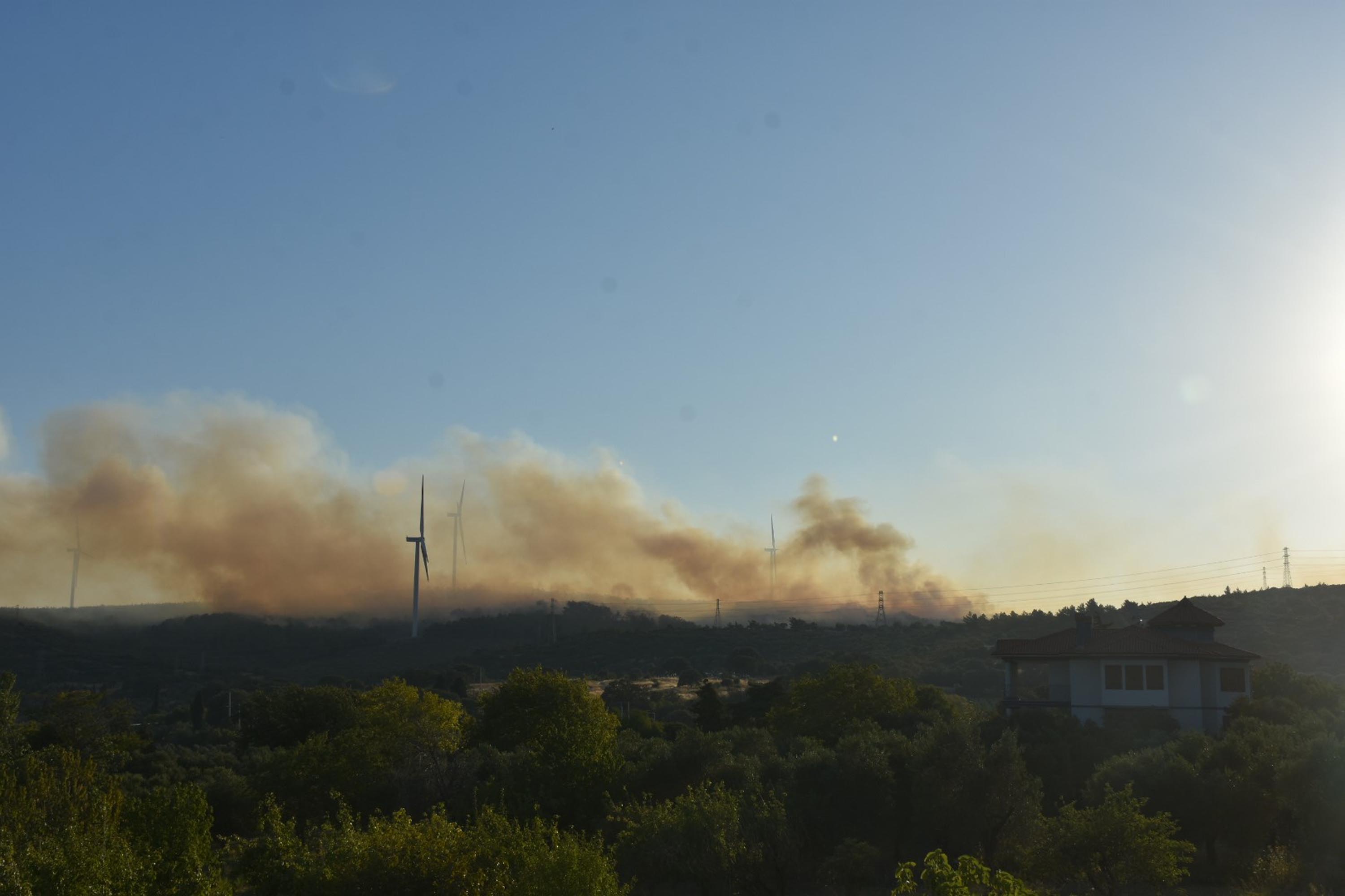 İzmir Urla'da orman yangını