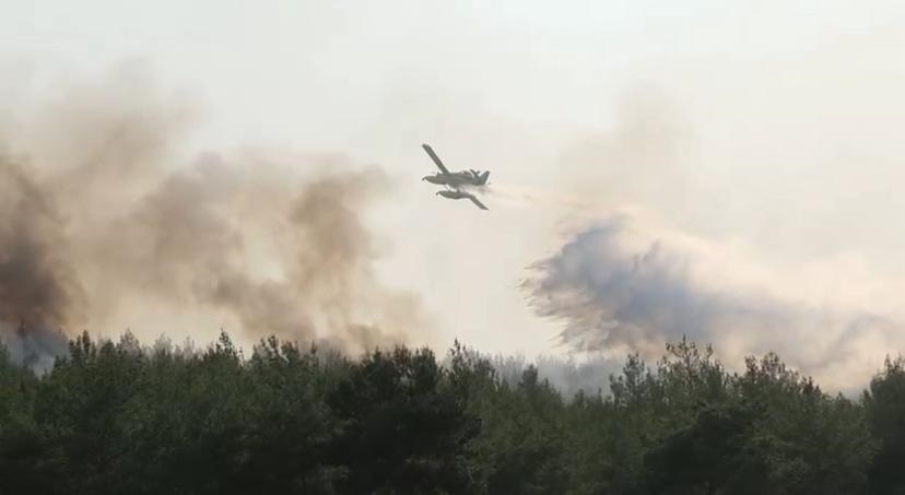 Manisa’da 2 noktada orman yangını