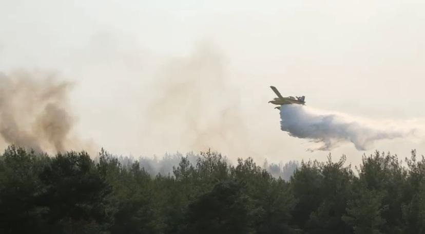 Manisa’da 2 noktada orman yangını