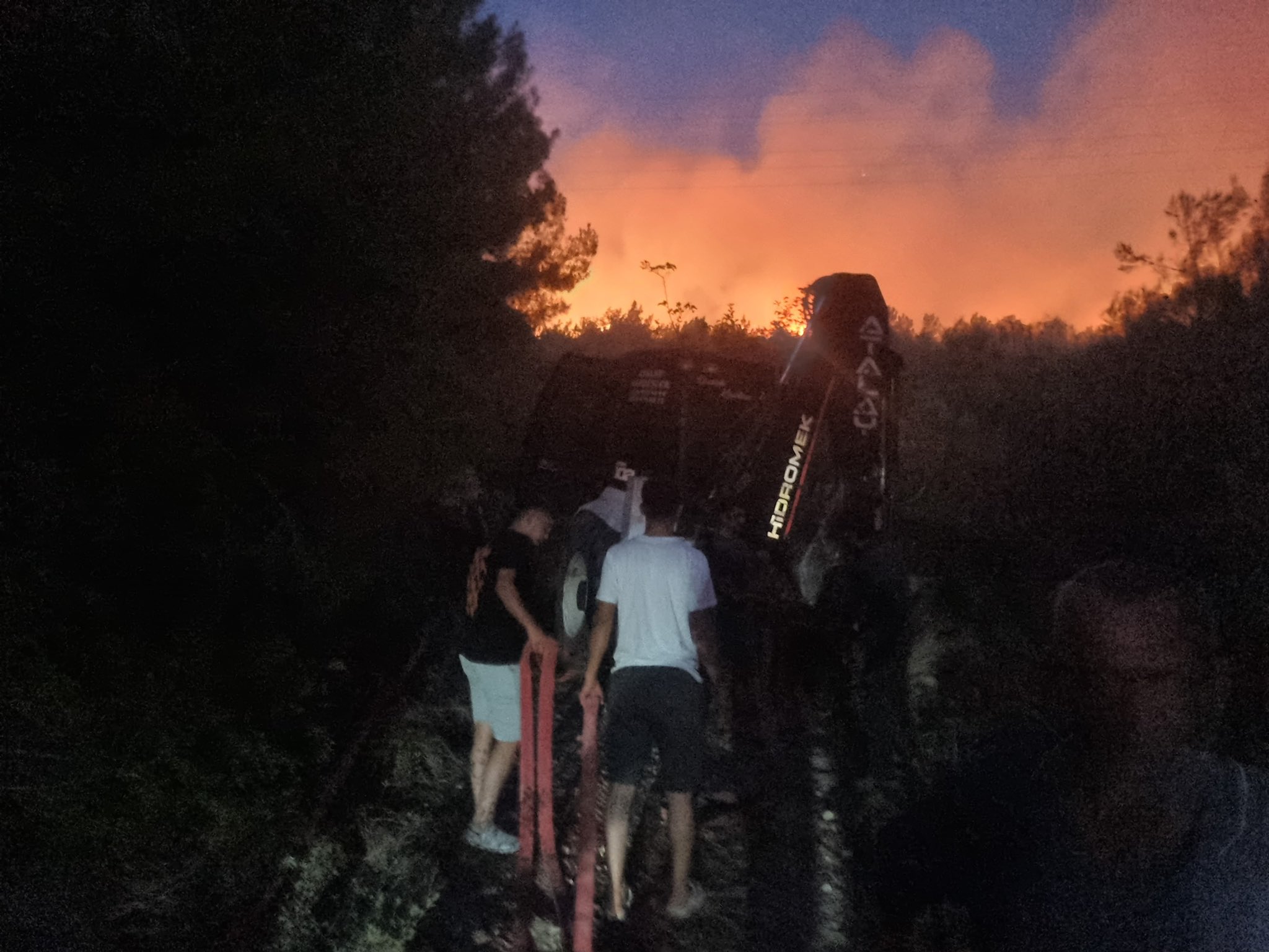 İzmir Urla'da orman yangını