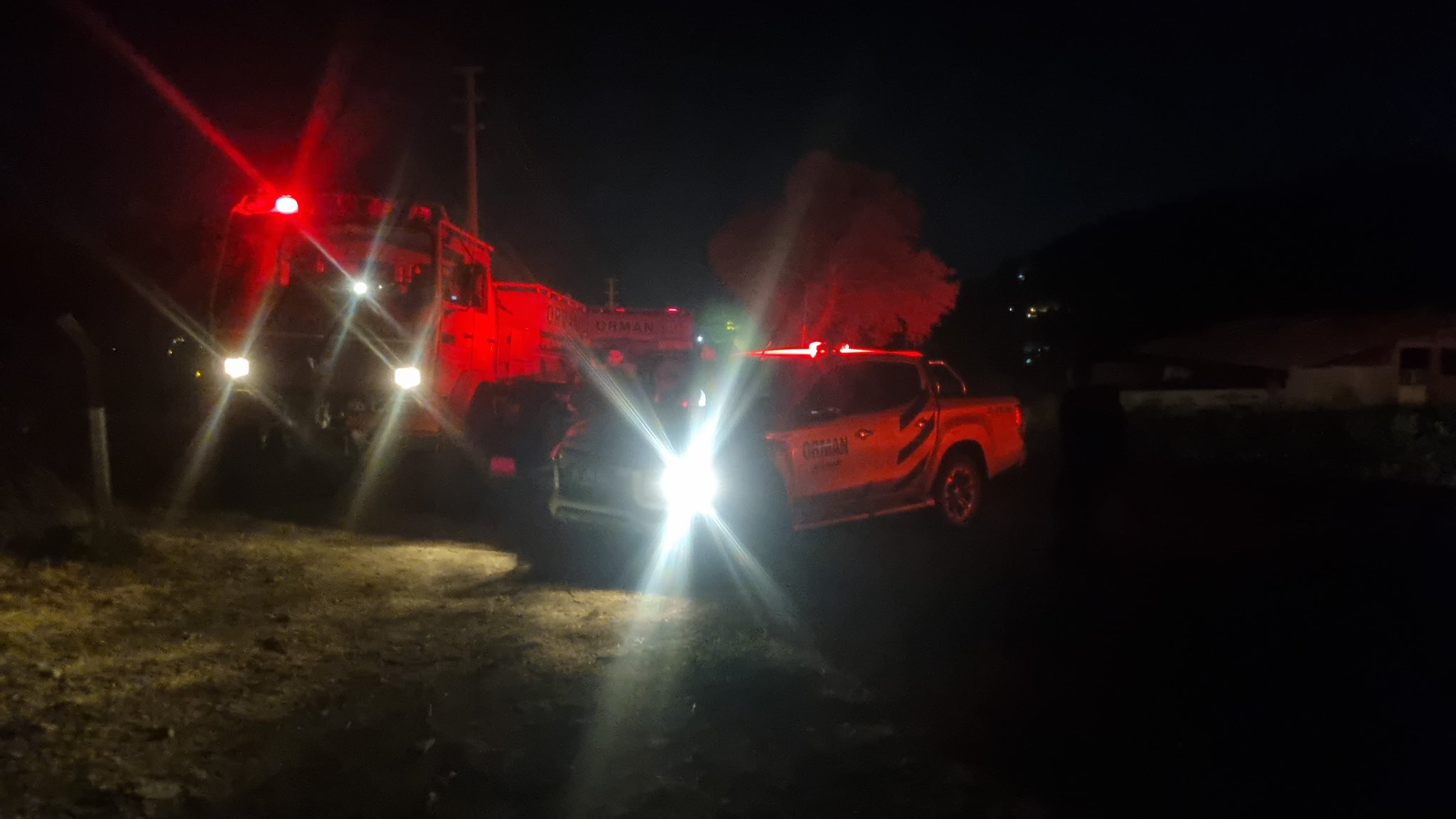 İzmir Urla'da orman yangını