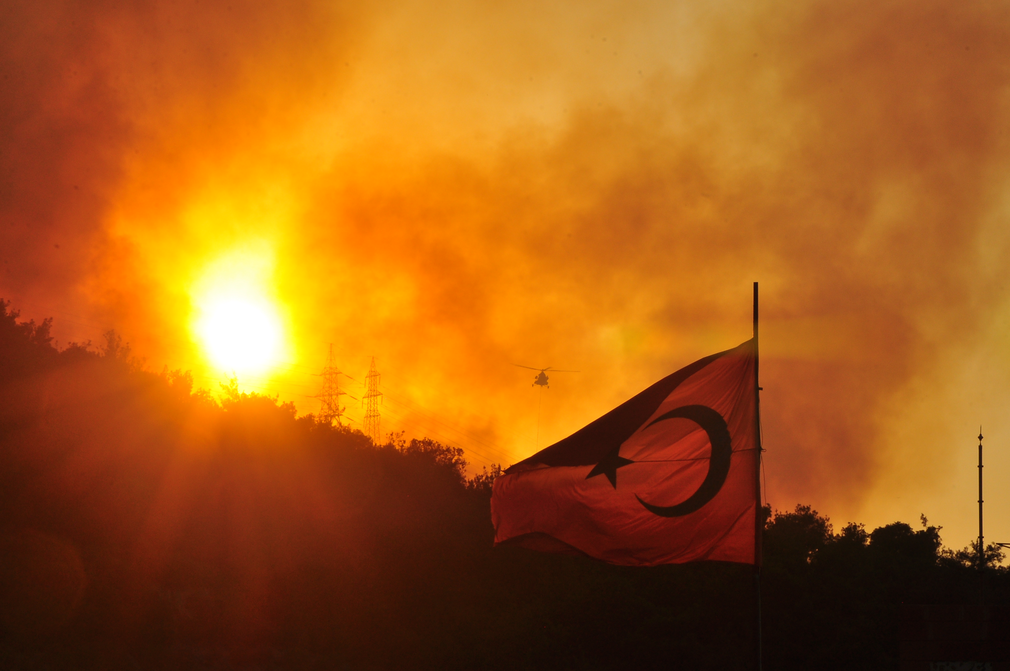 Manisa'da orman yangını