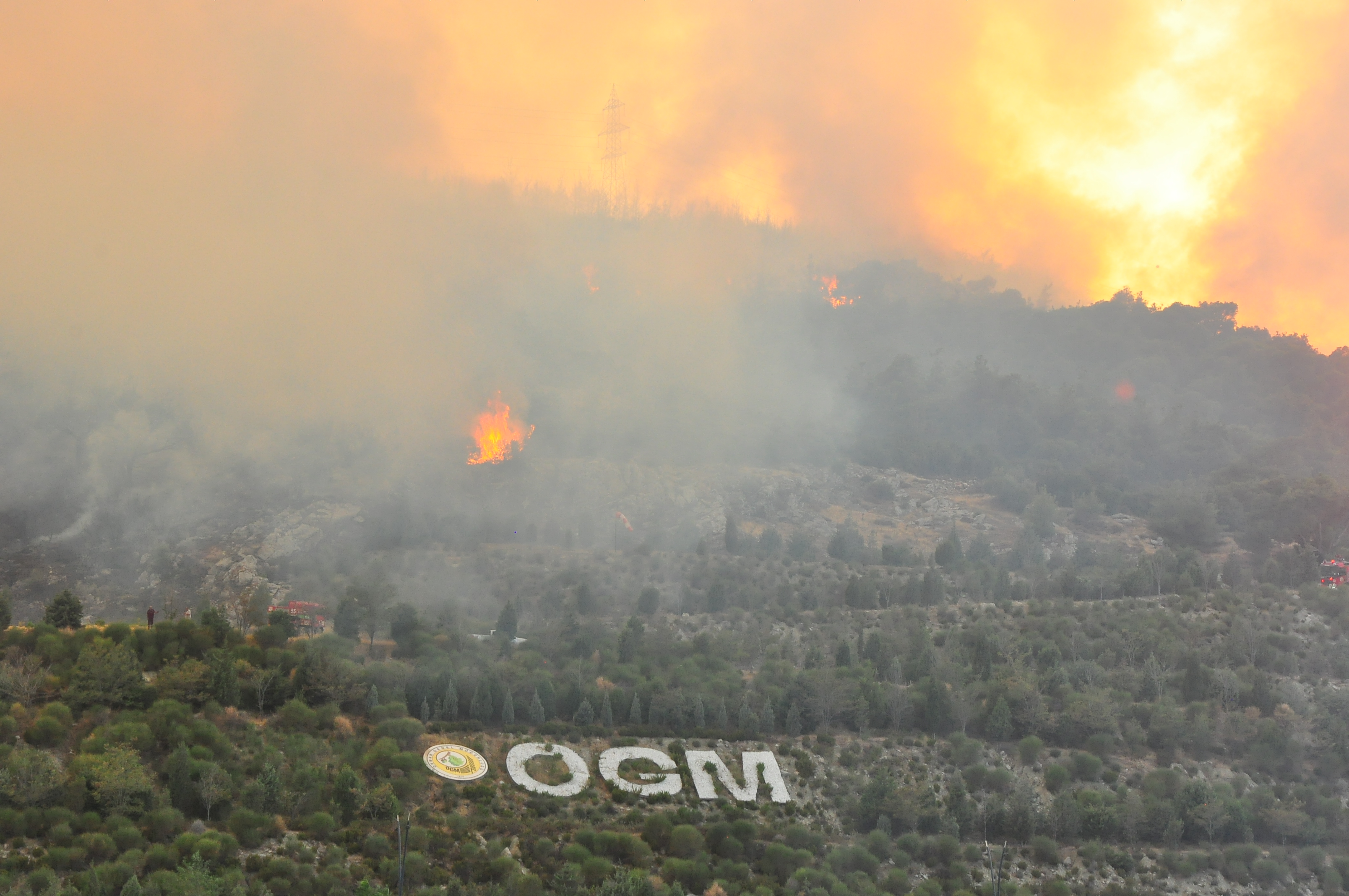 Manisa'da orman yangını