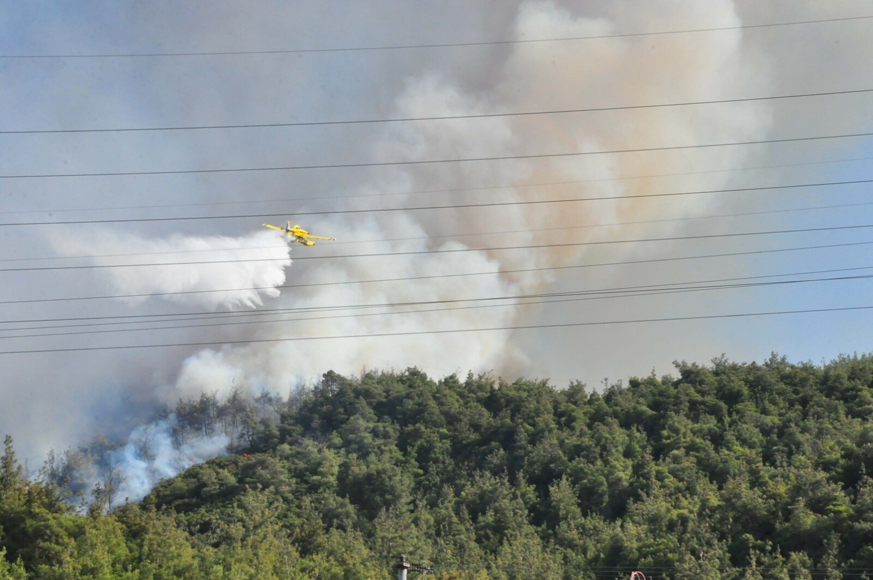 Manisa'da orman yangını