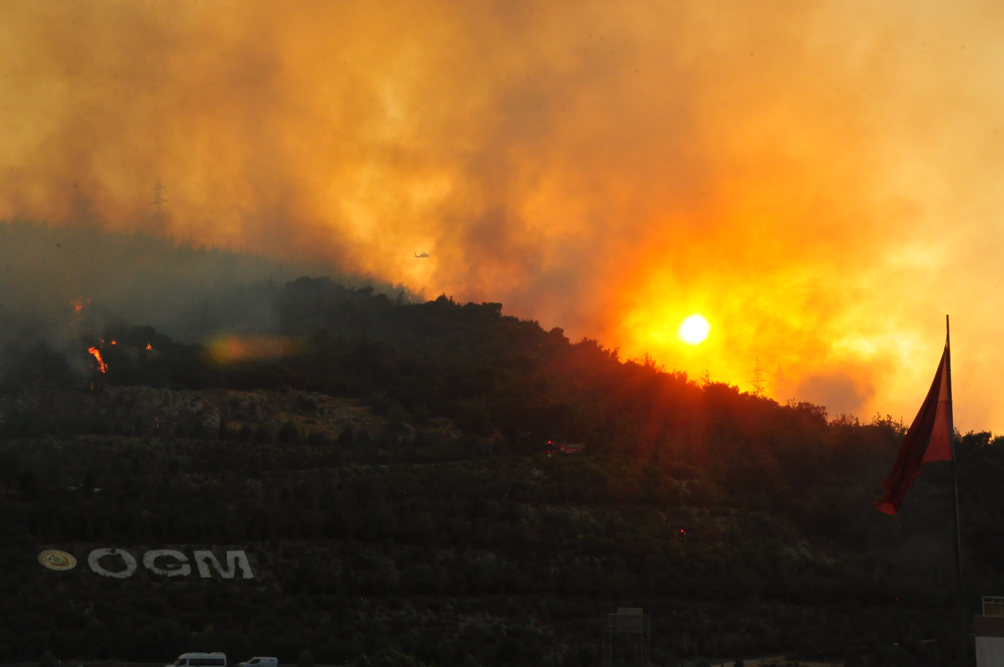 Manisa'da orman yangını