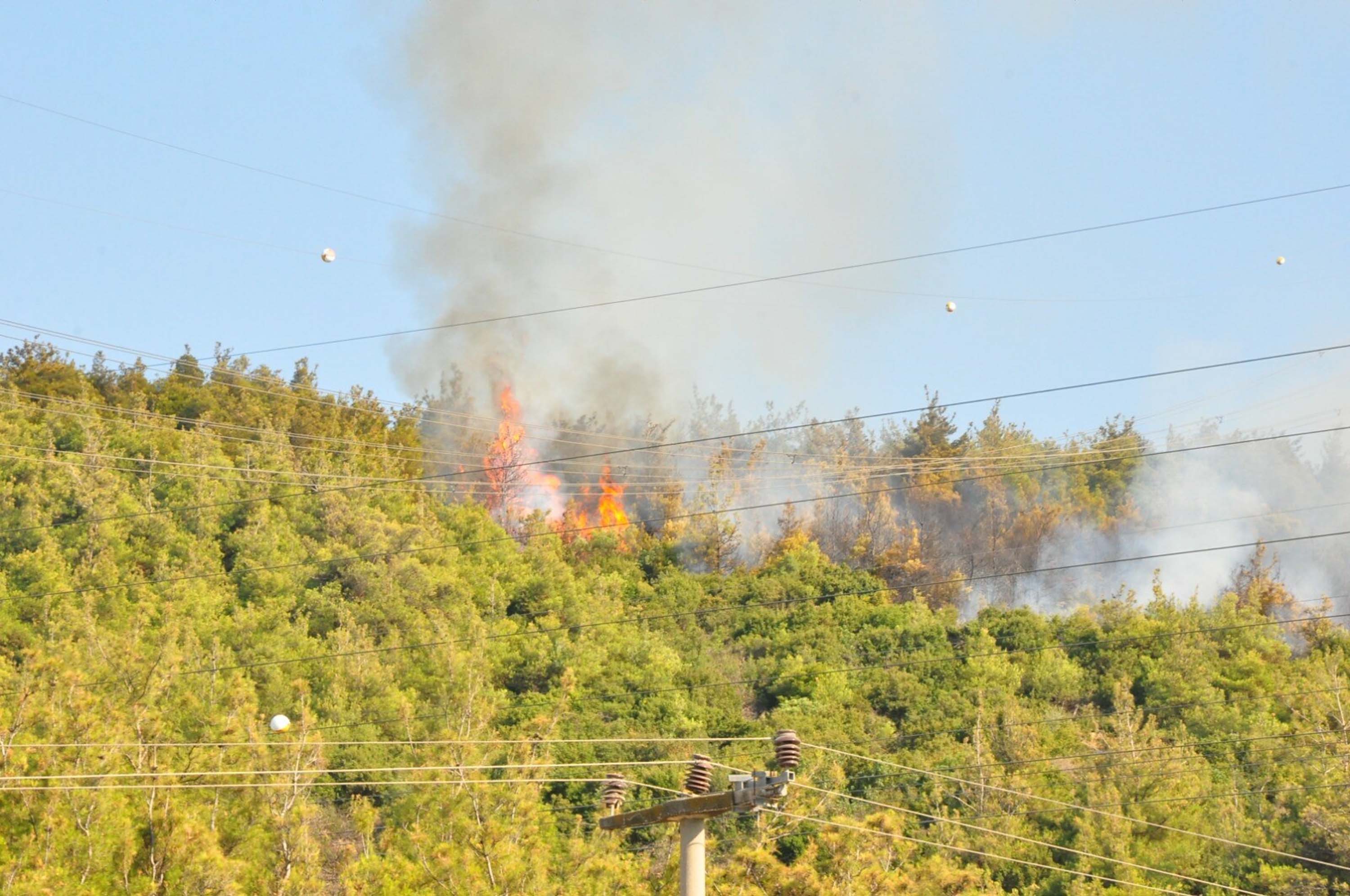 Manisa'da orman yangını