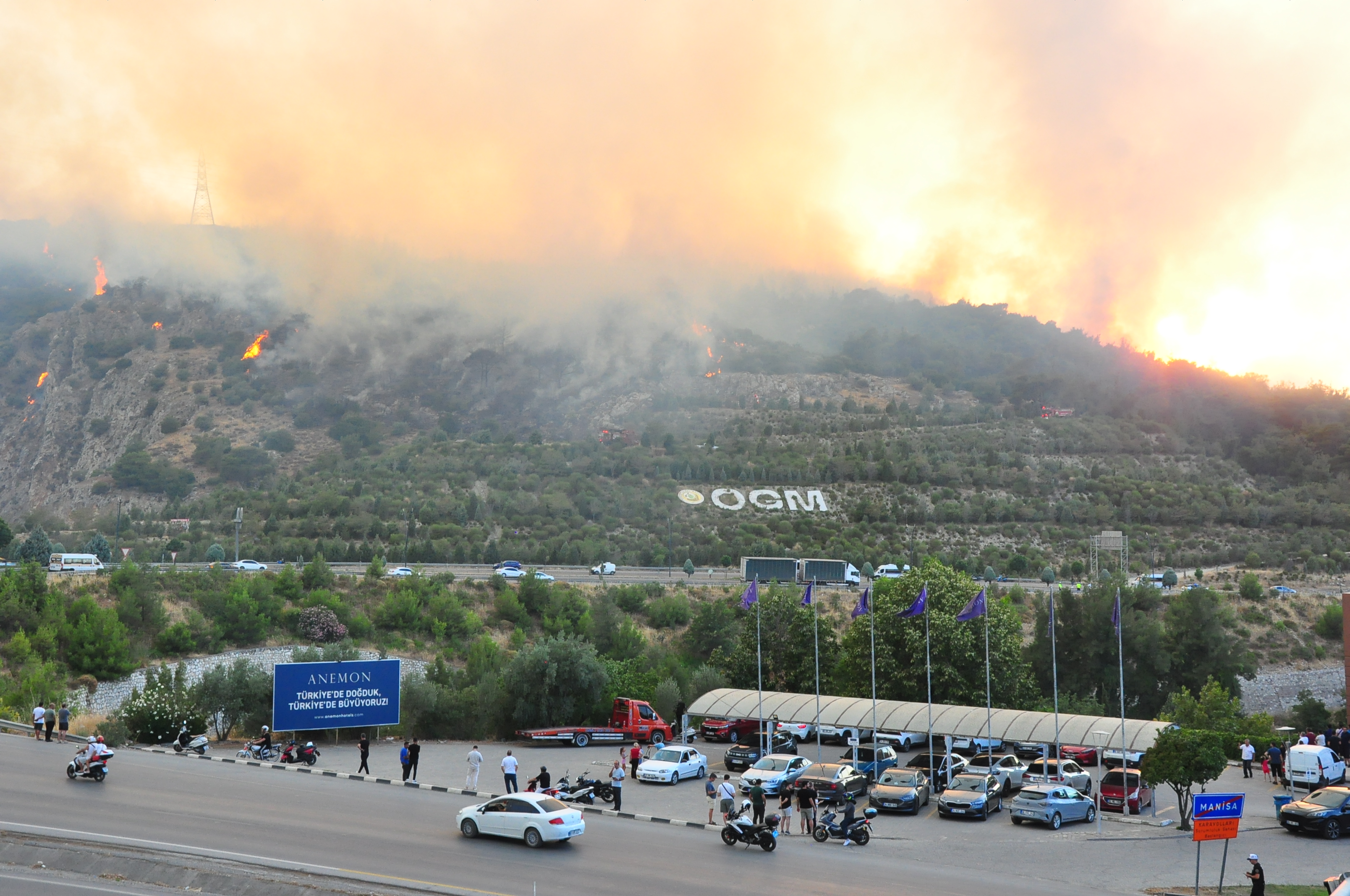 Manisa'da orman yangını