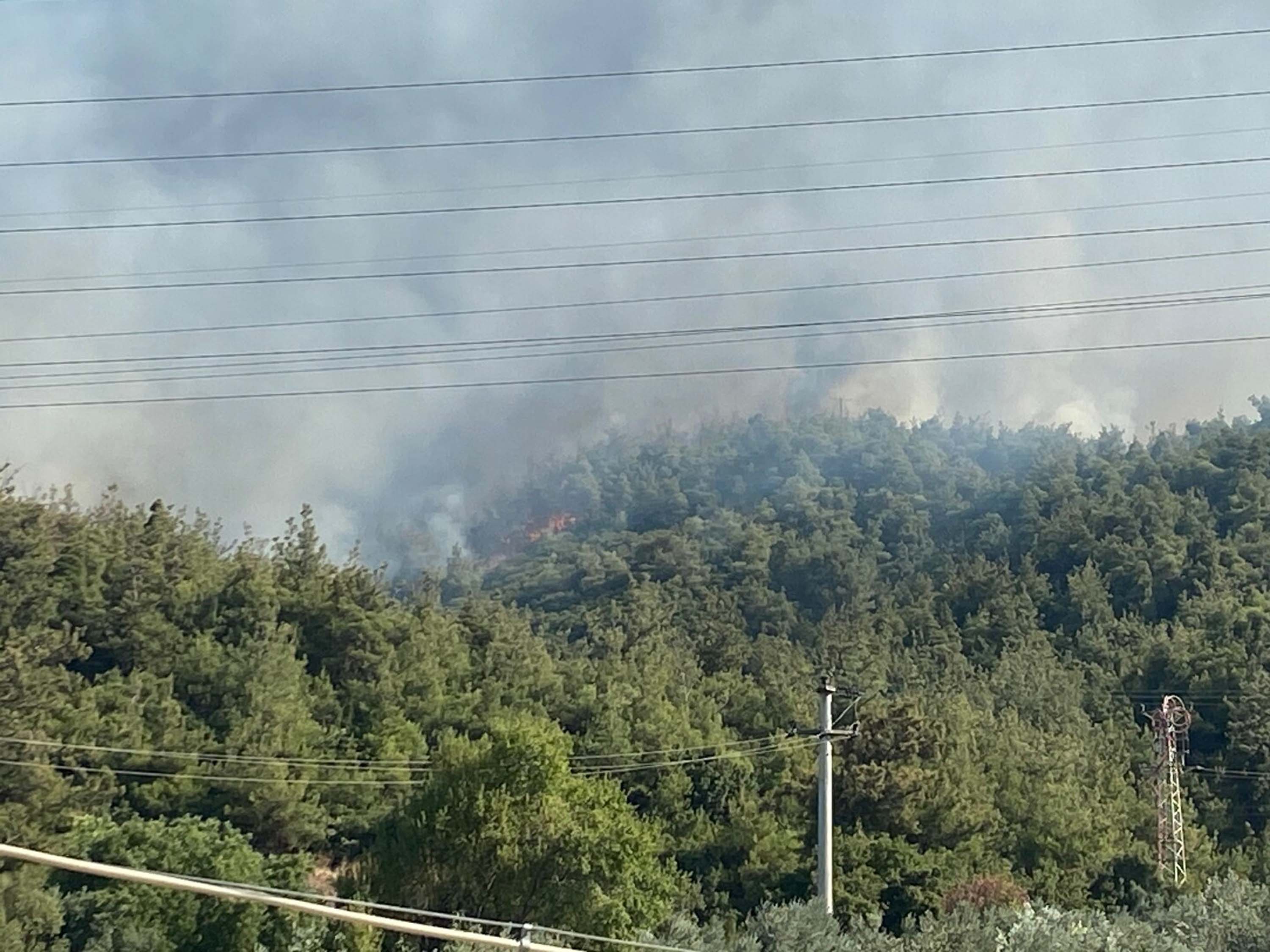 Manisa'da orman yangını