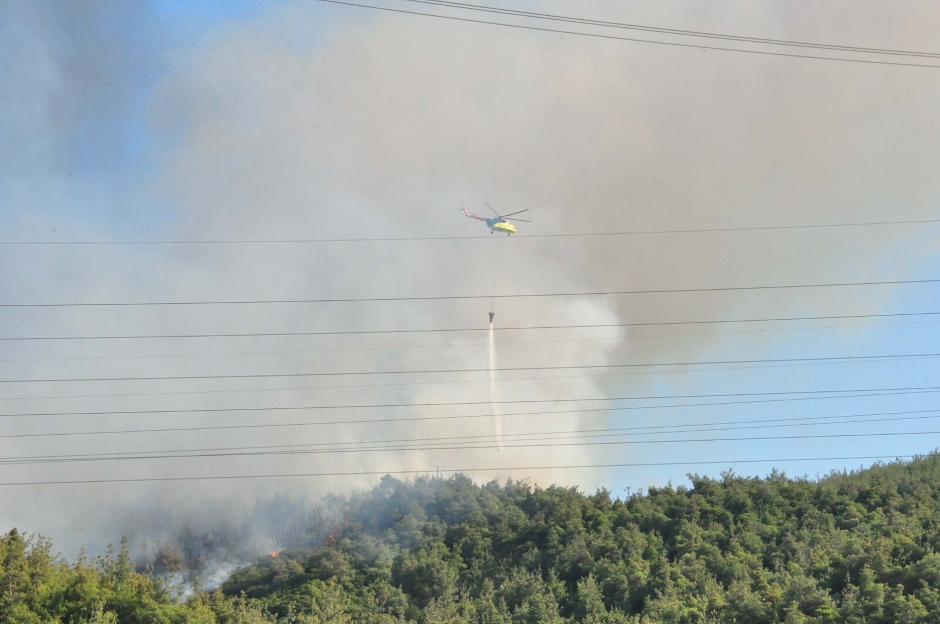 Manisa'da orman yangını