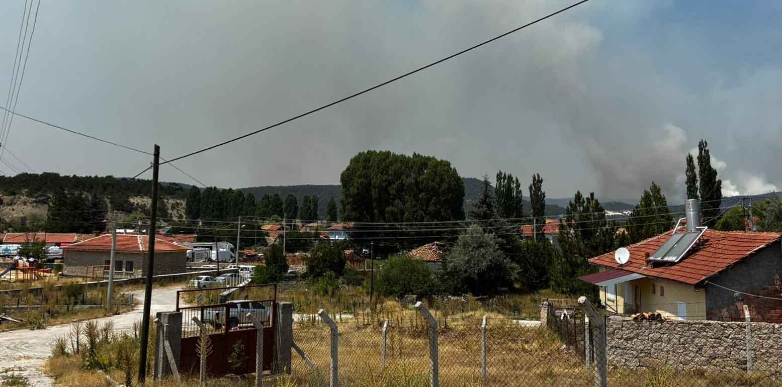 Eskişehir'de çıkan orman yangını, 3'üncü günde Afyonkarahisar'da sürüyor