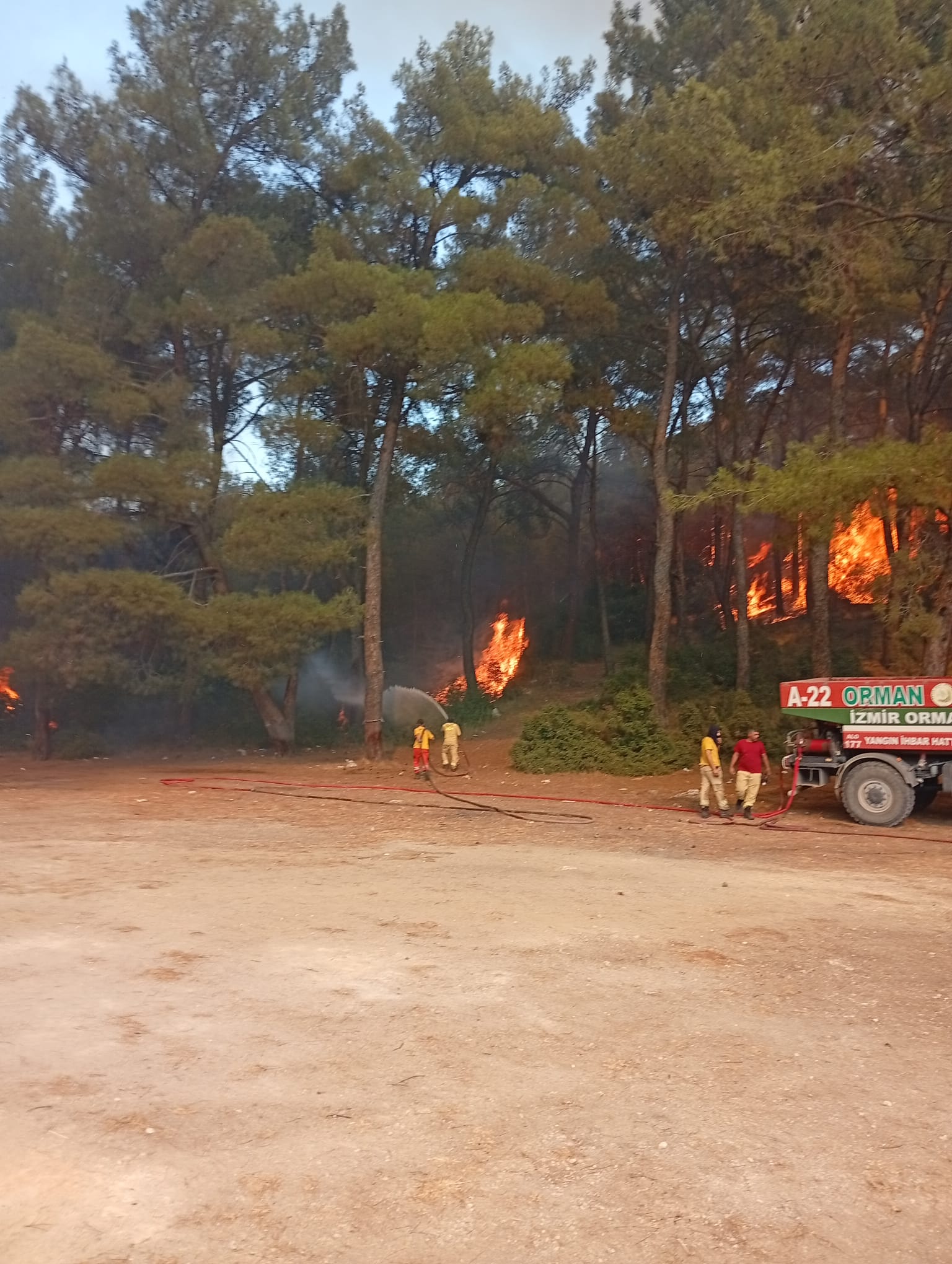 İzmir’de orman yangını
