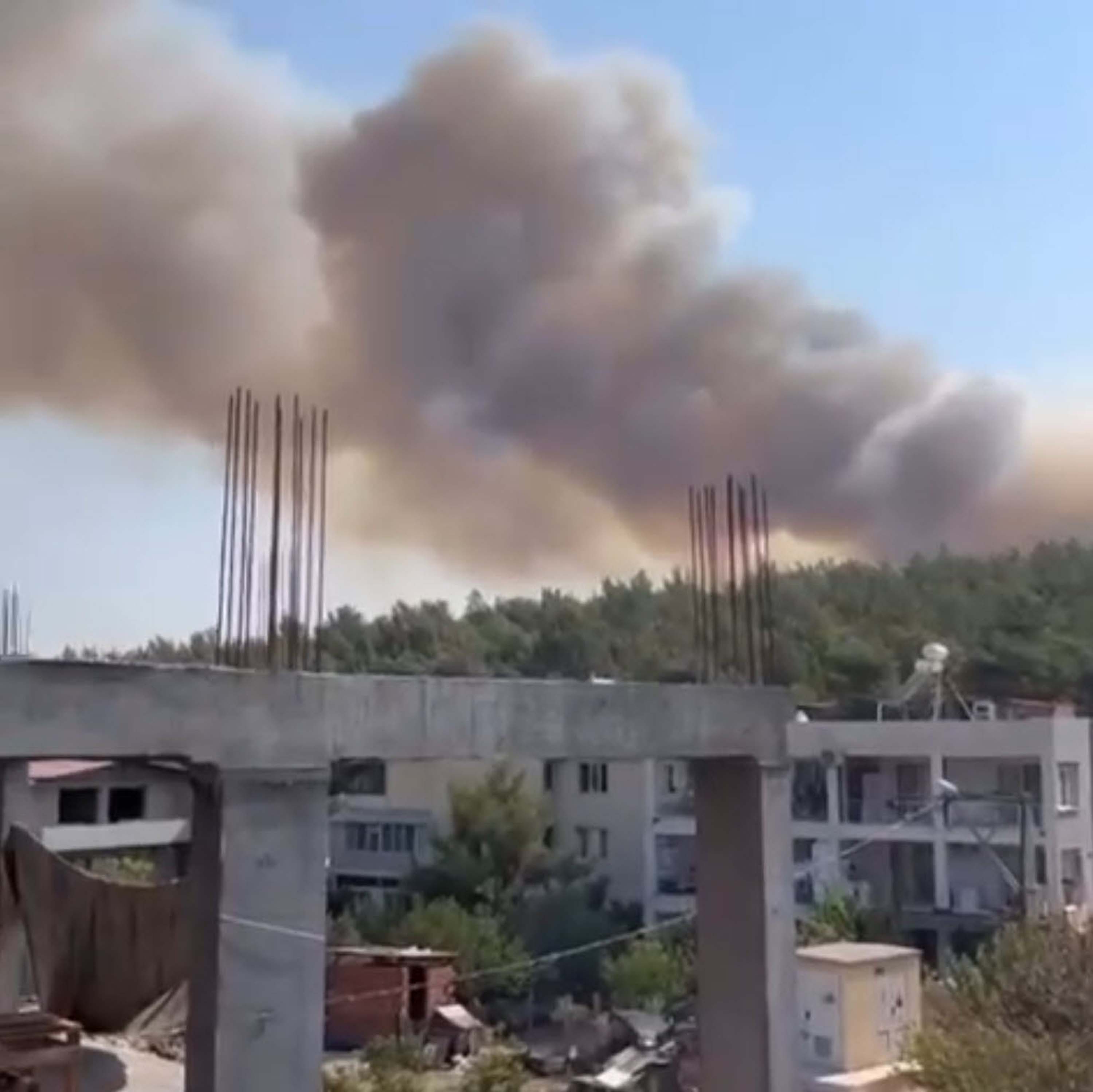 İzmir’de orman yangını