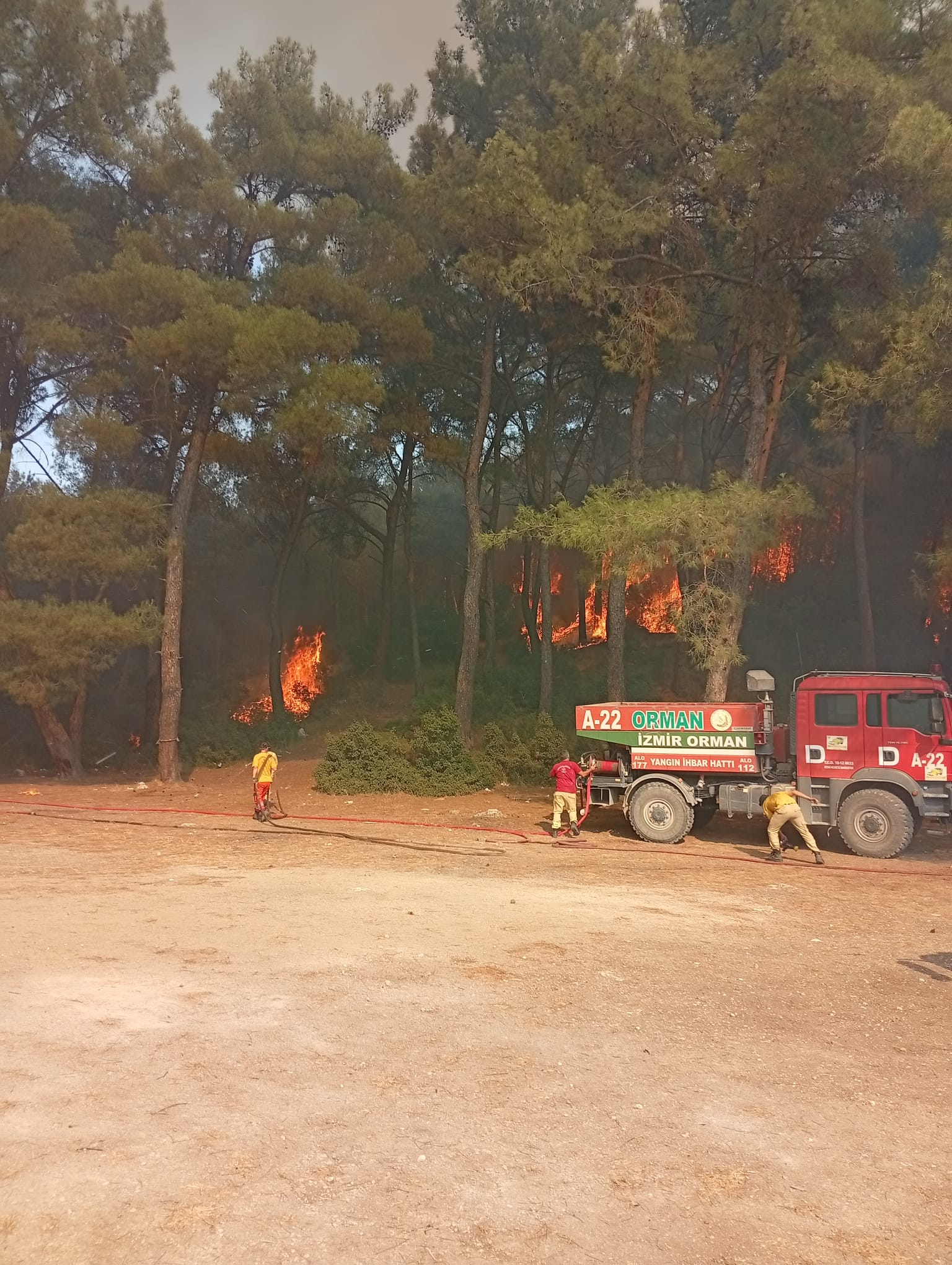 İzmir’de orman yangını