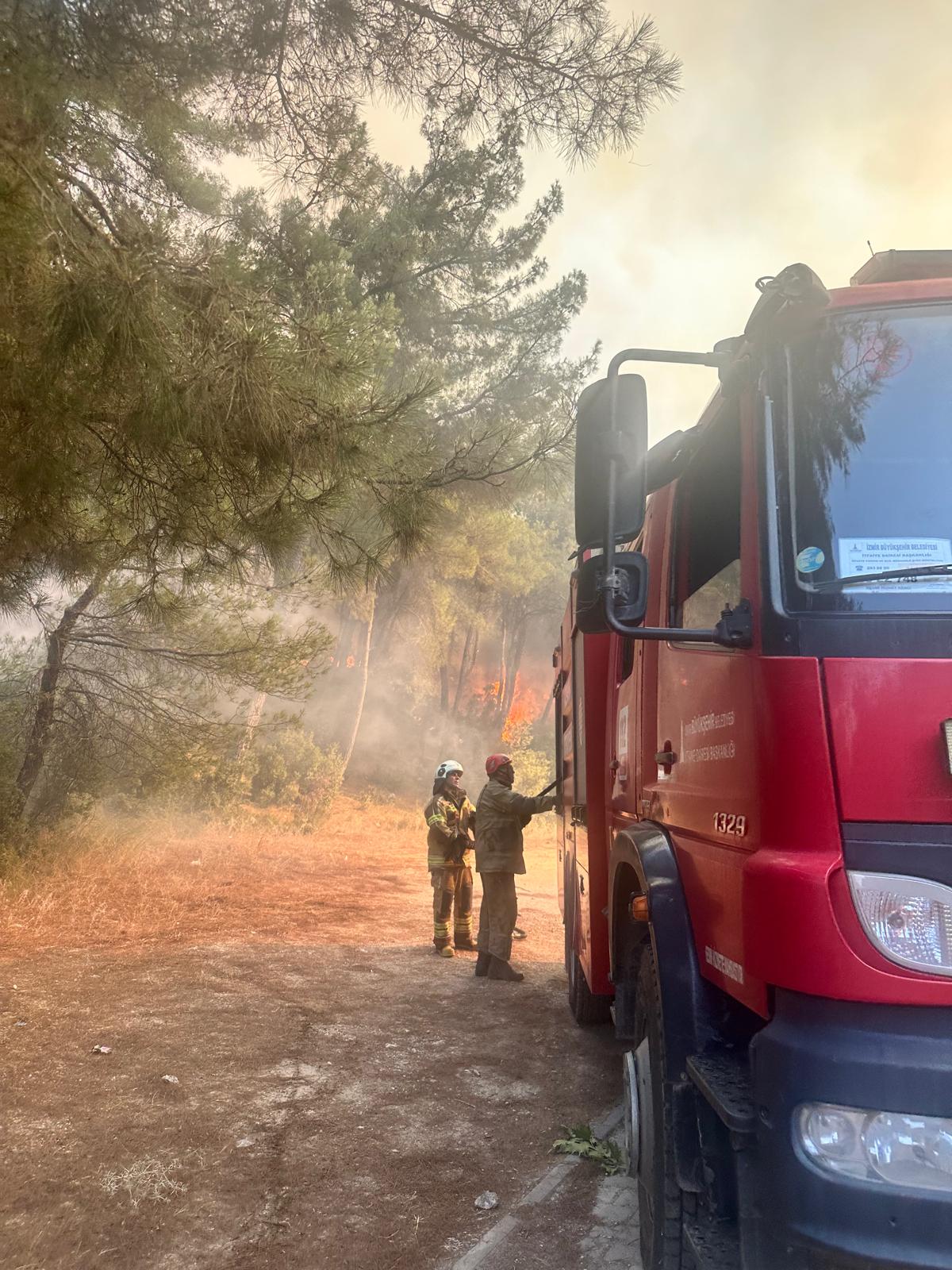 İzmir’de orman yangını