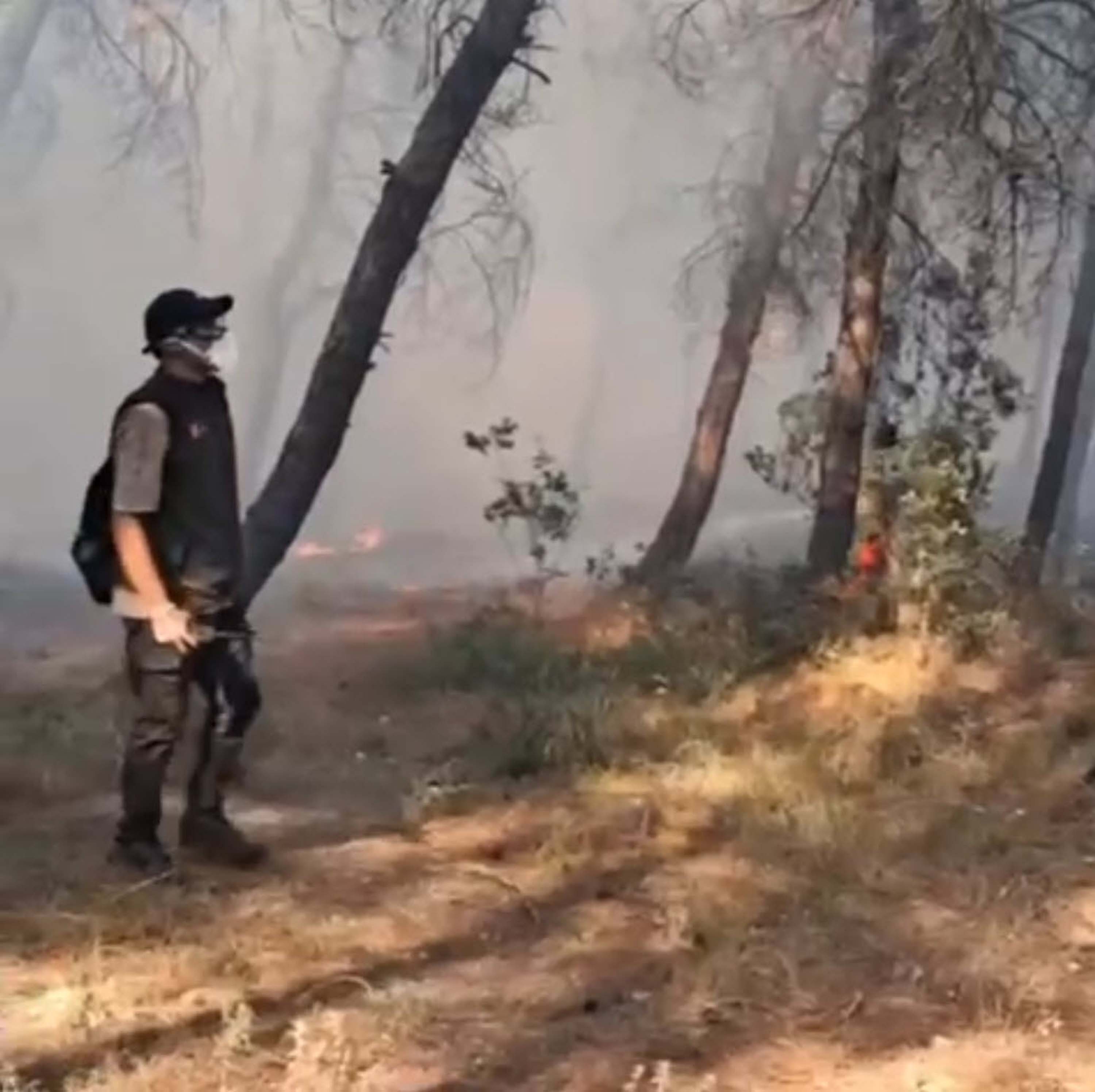 İzmir’de orman yangını