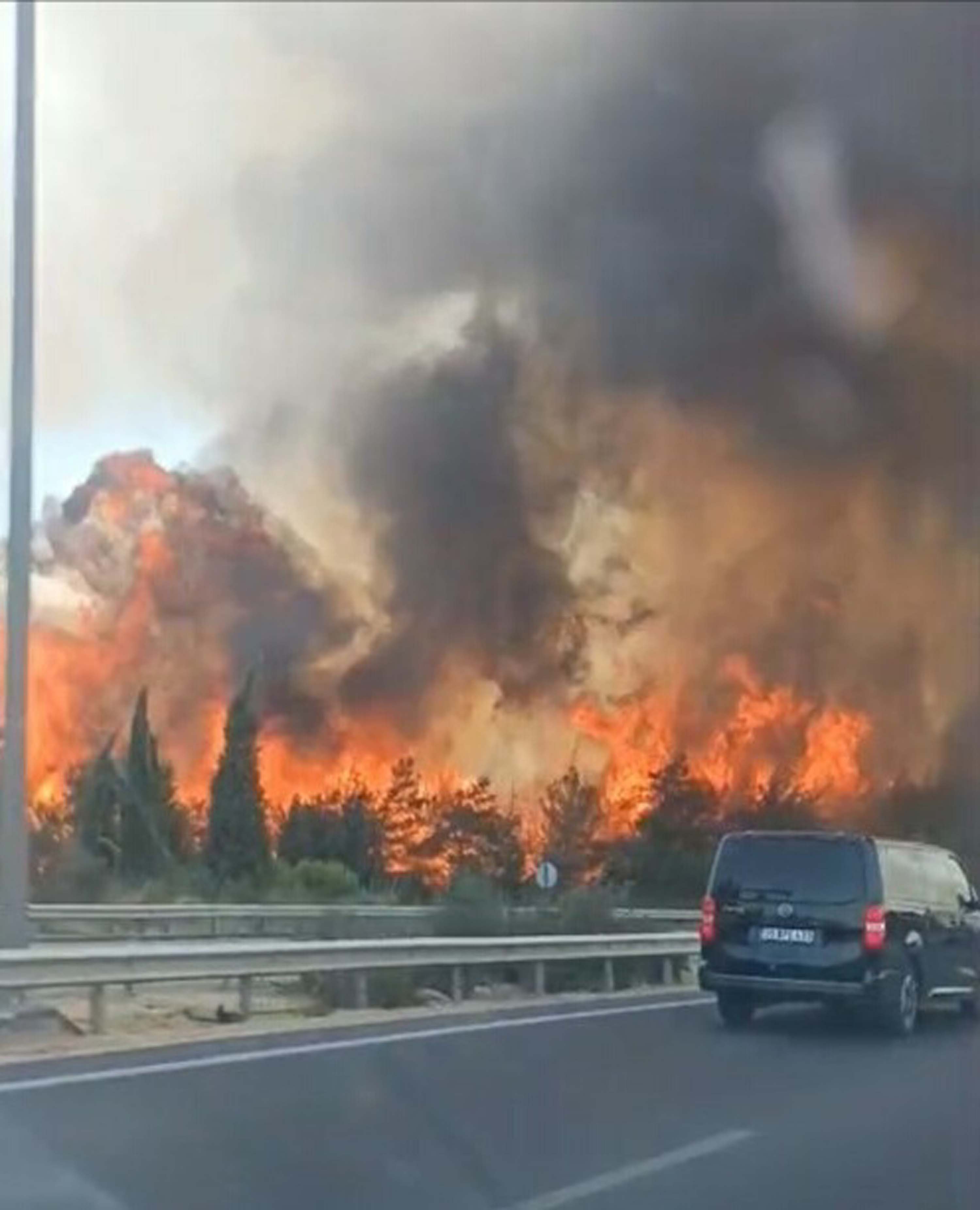 İzmir Buca'da orman yangını