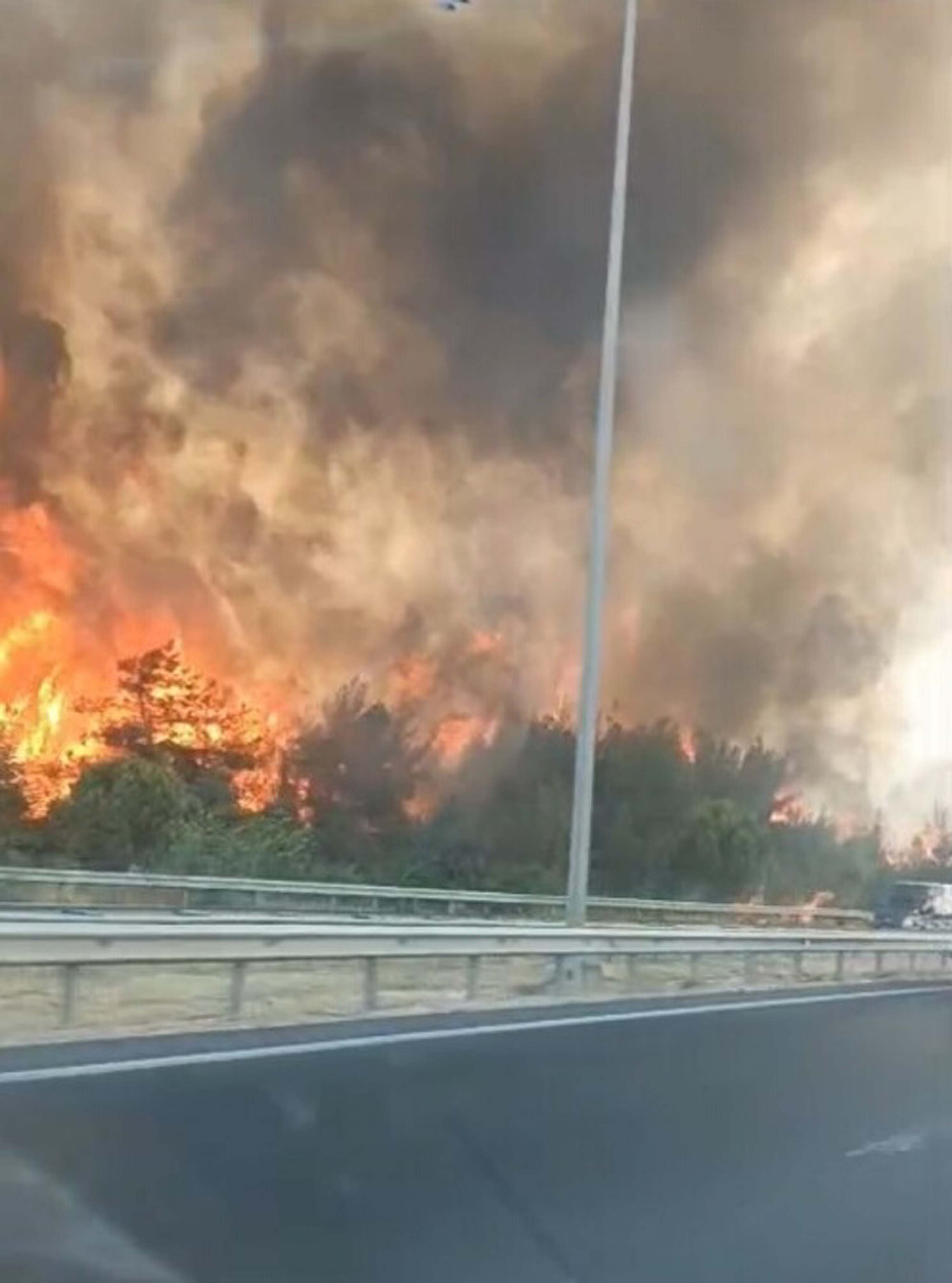 İzmir Buca'da orman yangını